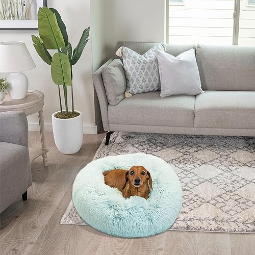 Miniatura 7 de Best Friends by Sheri - The Original Calming Donut - Cama calmante en forma de dona para perros y gatos - Pelo largo, azul bebé, S, 23 x 23 pulgadas