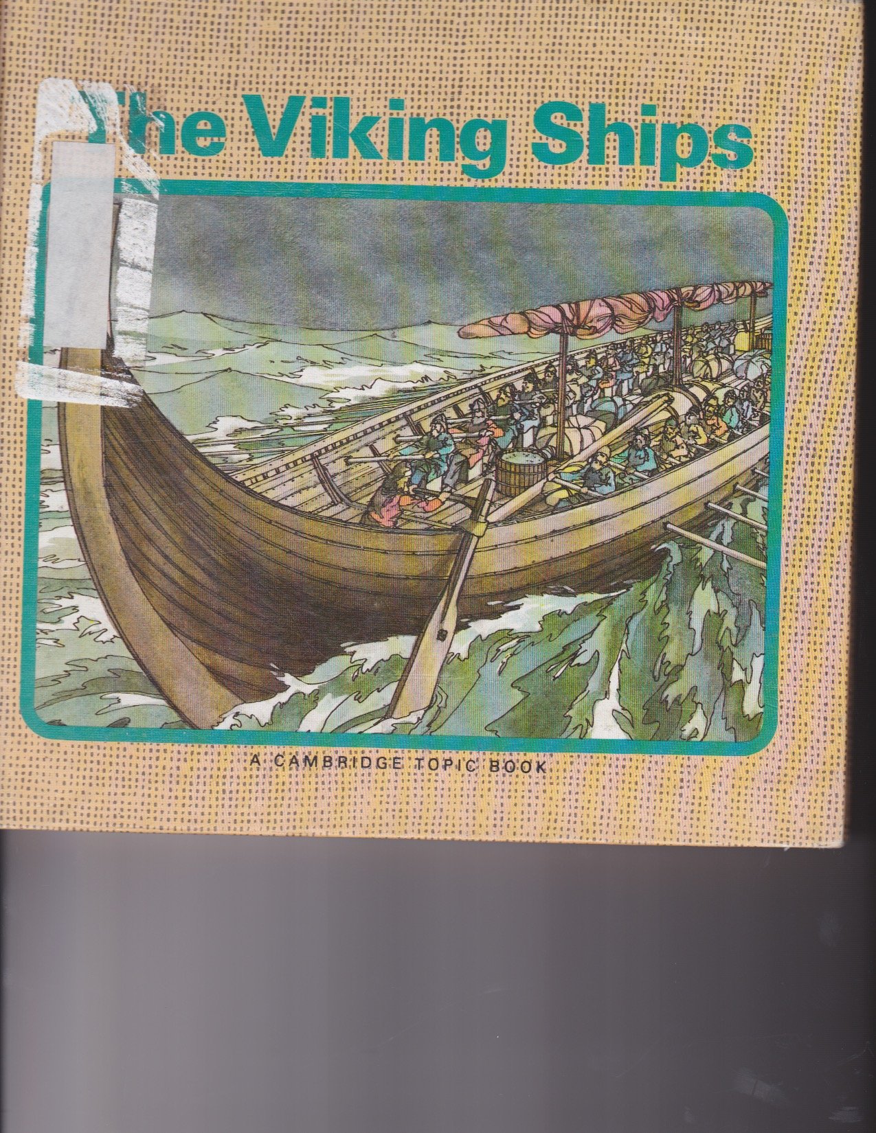 Buy The Viking Ships (Cambridge Topic Book) — BookShops.in