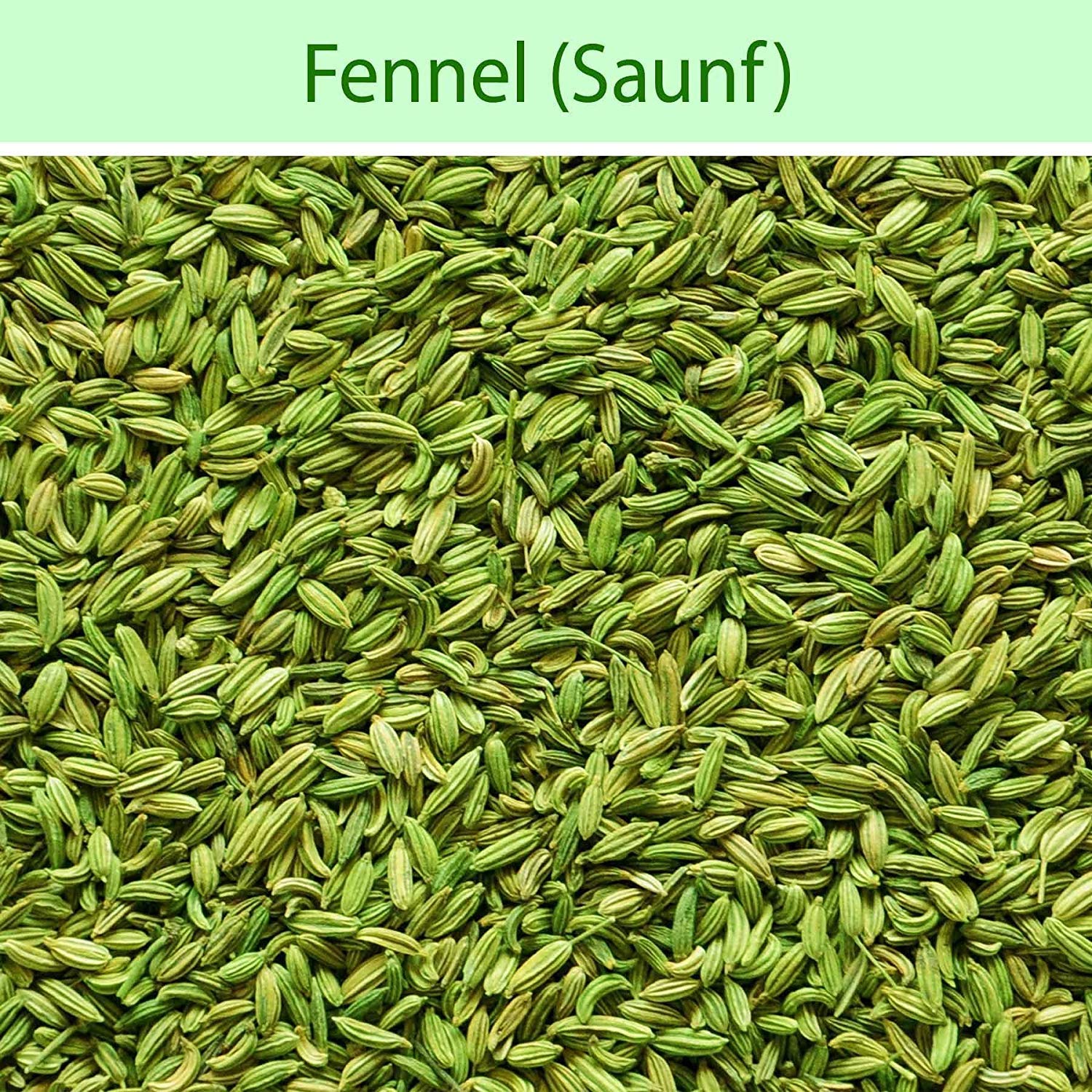 Finaldeals Spices & Masale Fennel Seeds 250 Grams Saunf Whole Sauf Green Sauf Sabut Premium Quality