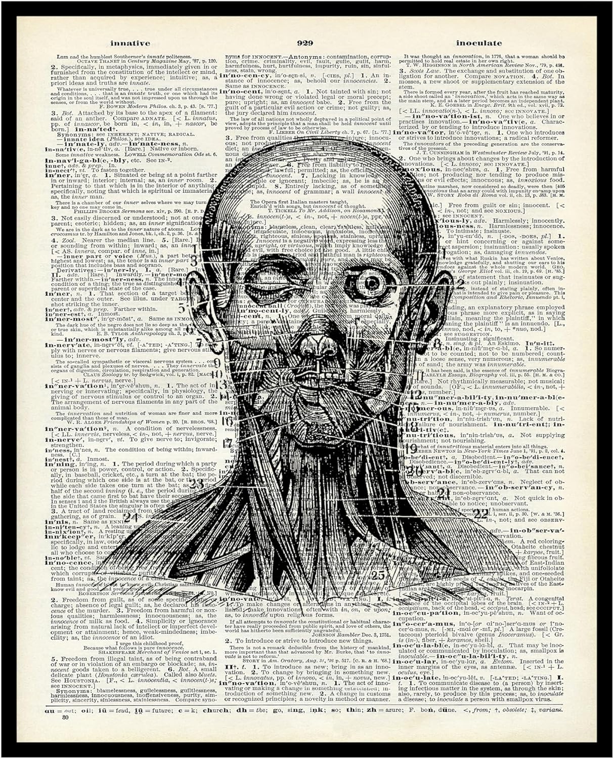Amazon.com: Poster Master Dictionary Art Poster - Anatomical Head Print ...