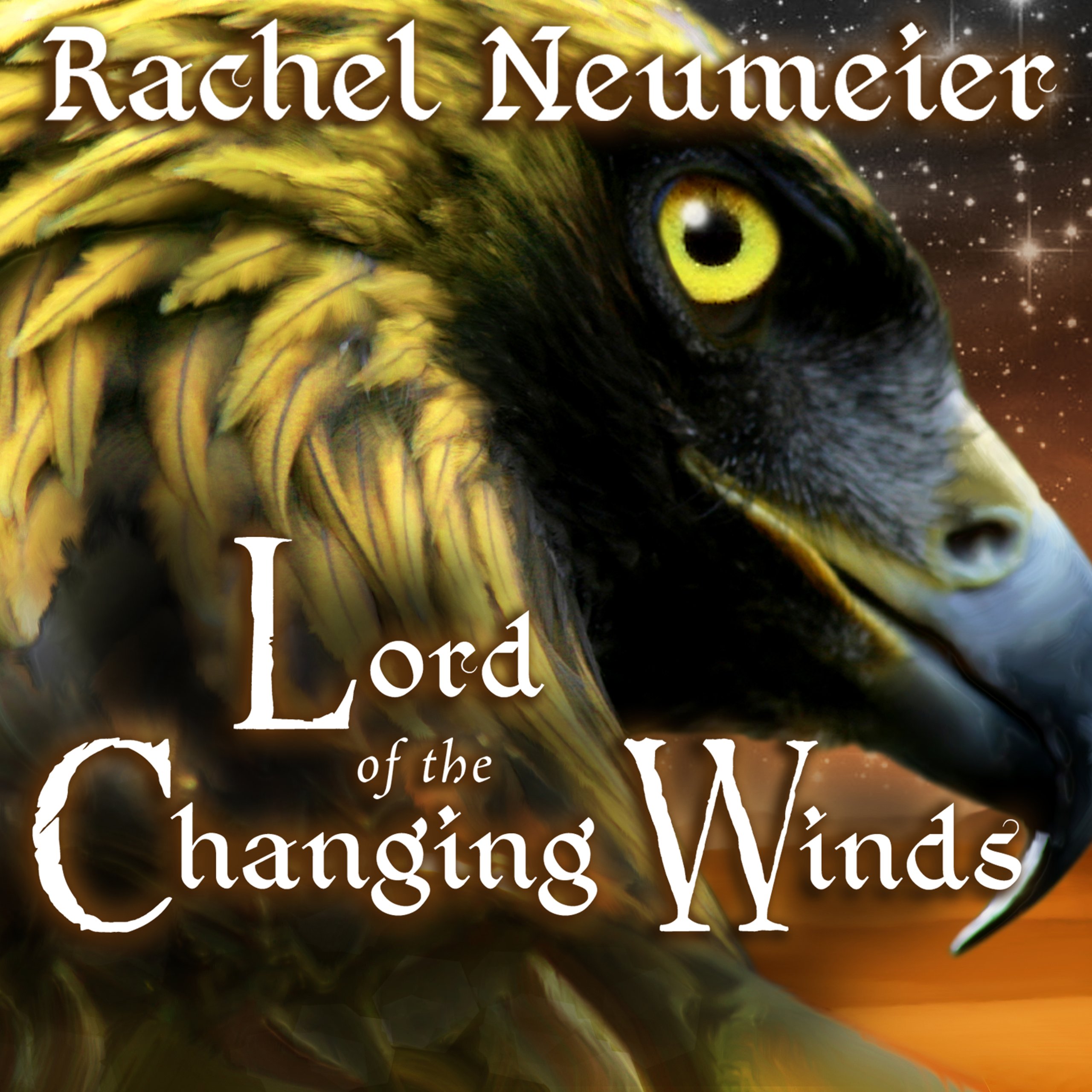 Cover art for Lord of the Changing Winds