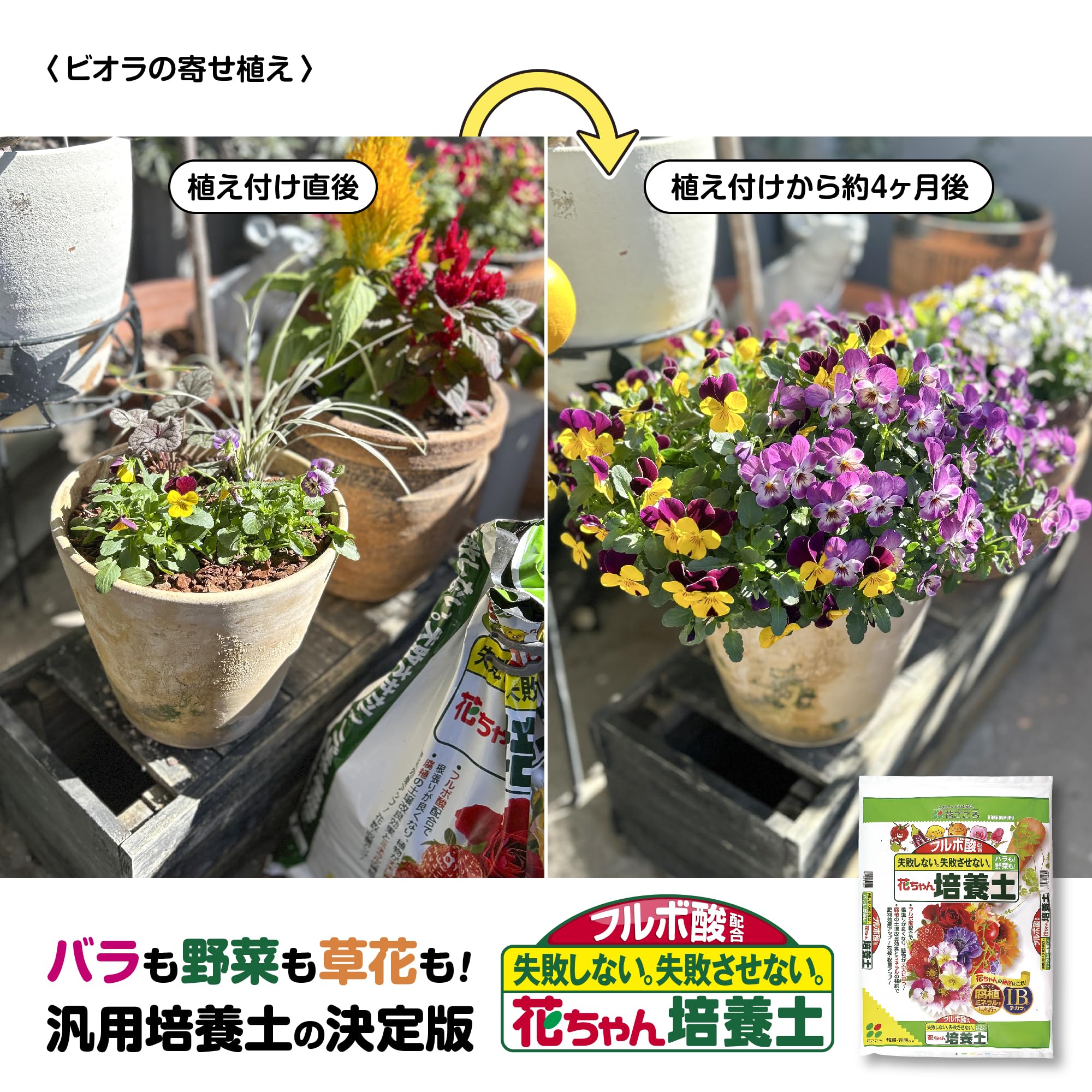 花ごころ フルボ酸配合 花ちゃん培養土 12L イキイキ育つ