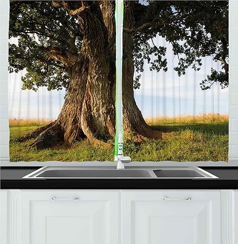 Miniatura 7 de Ambesonne Cortinas de cocina modernas, patrón geométrico de líneas en zigzag, patrón de triángulos, estampado de arte contemporáneo, cortinas de