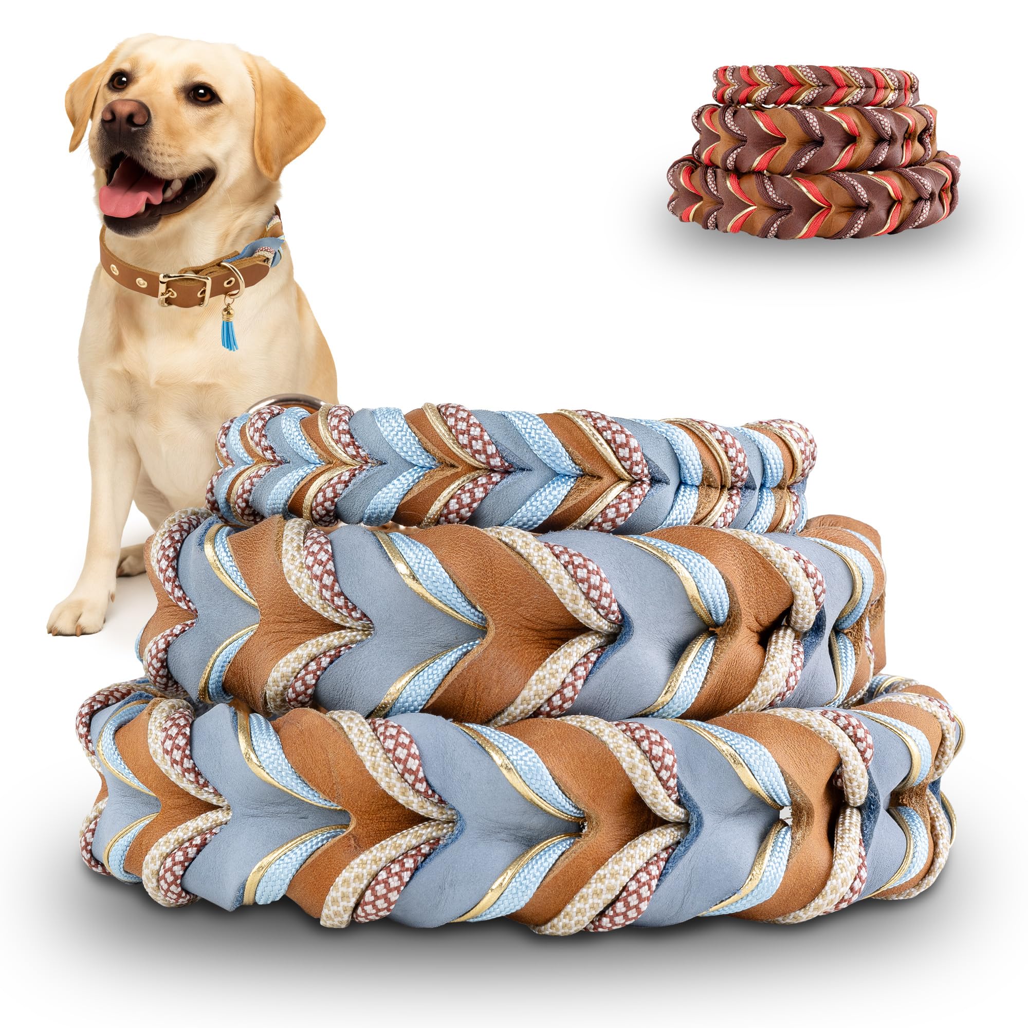 Hundehalsband (S) Leder & Paracord geflochten | Große, mittlere & kleine Hunde | 2cm breit | außergewöhnlich, ausgefallen | blau braun Gold | weiches Fettleder | Tau handgemacht