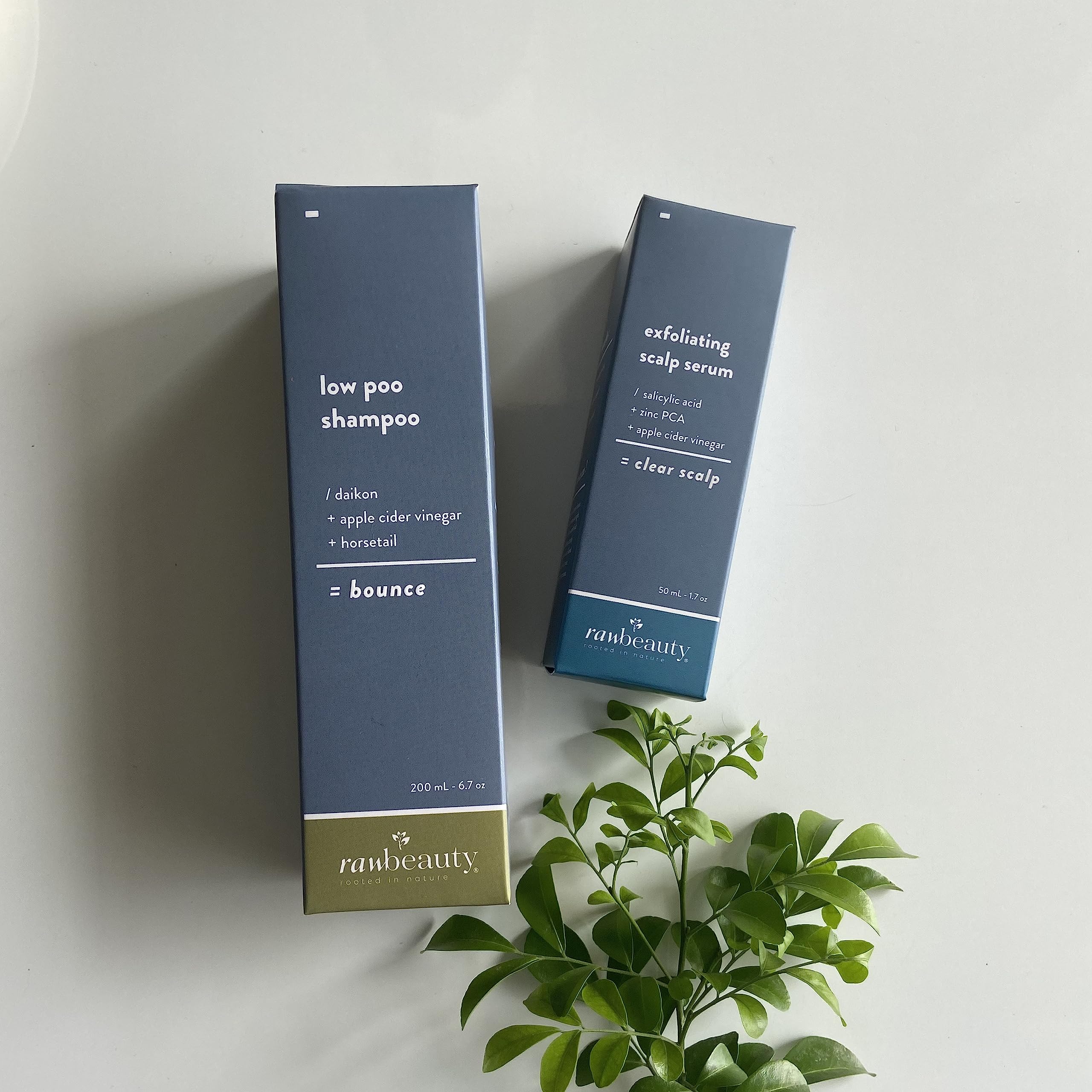 RawBeauty Bounce Low Poo Shampoo 200ml & Clear Scalp Exfoliating Serum 52ml For Oily, Itchy Scalp & Dandruff, Soothes Scalp & Promotes Hair Growth For All Hair Type Men & Women, Gift Combo Pack of 2