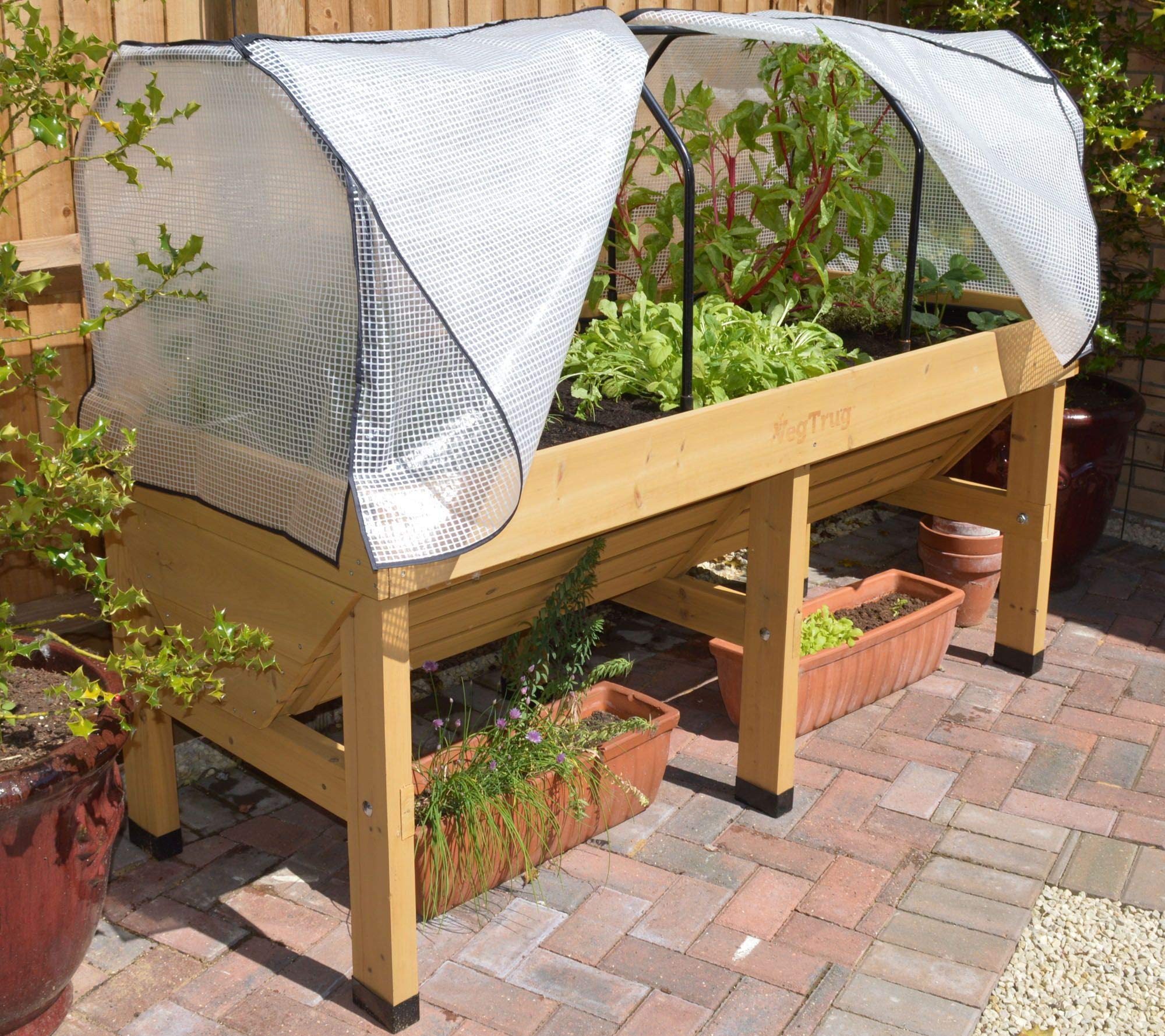 VegTrug Medium Green House Frame and PE Cover for Home Garden Planter - White Natural