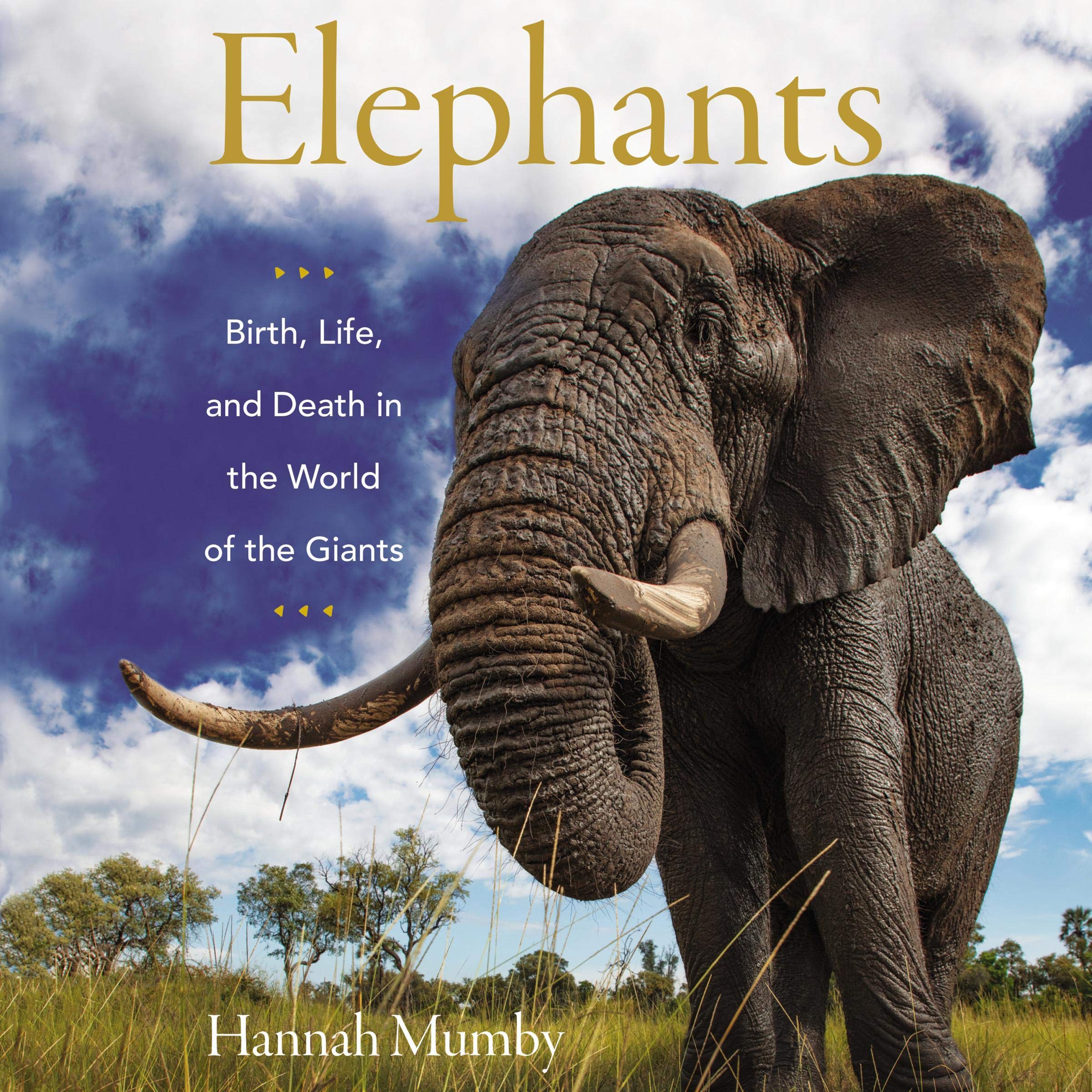 Cover art for Elephants