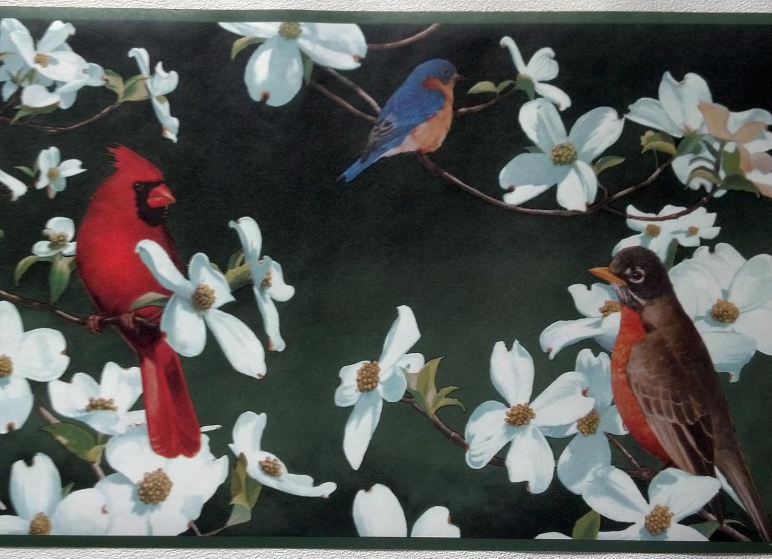 Birds Wallpaper Border - Cardinal, Bluebird - Green Background by Rolling-Borders