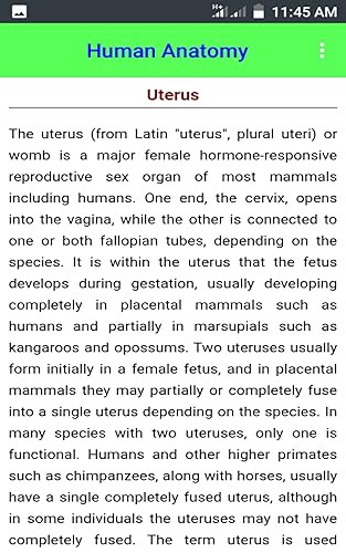 Human Anatomy