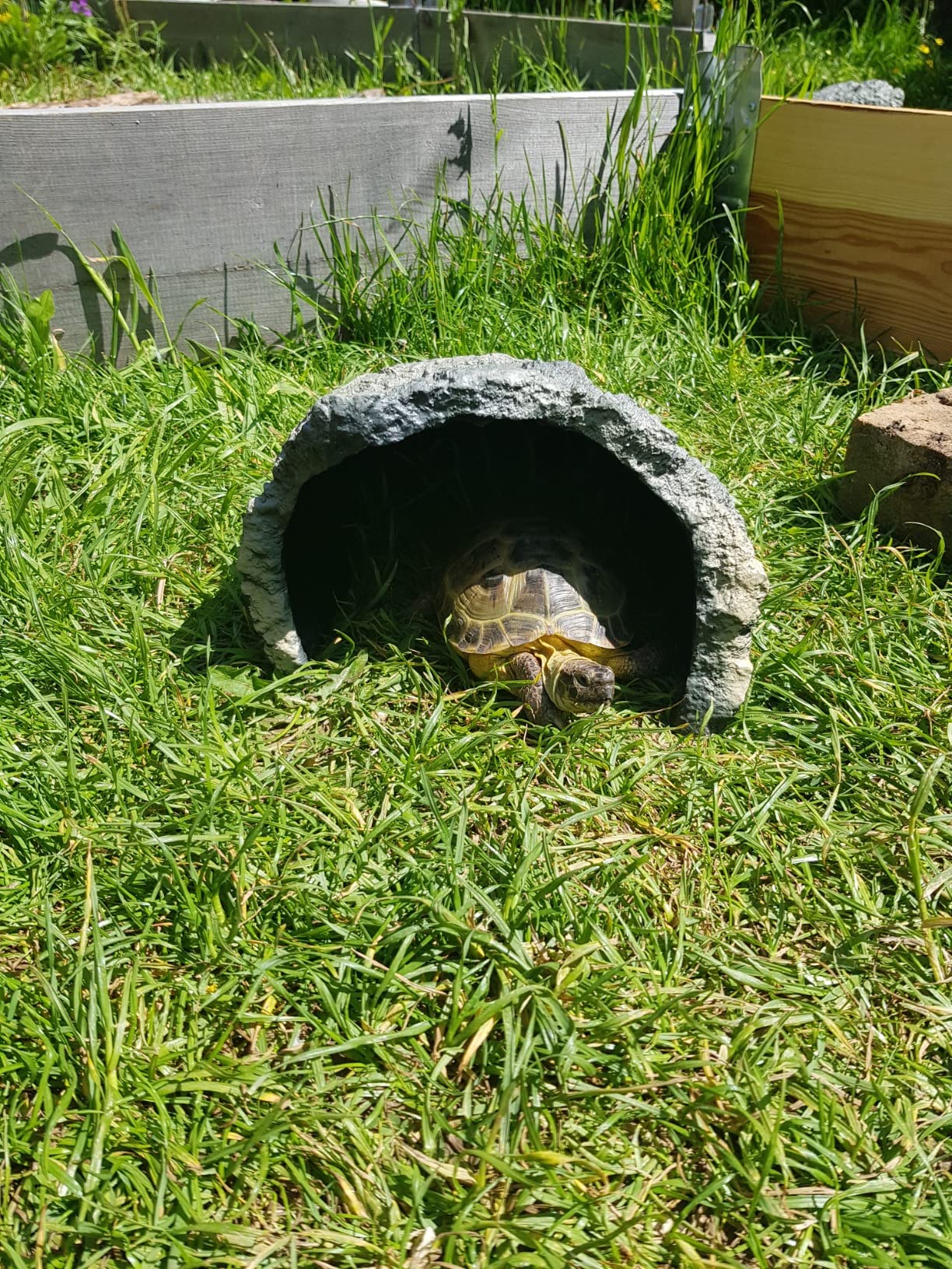 Reptile Rock Hide Cave Turtle Hideouts Cave Large Reptile Habitat for ...