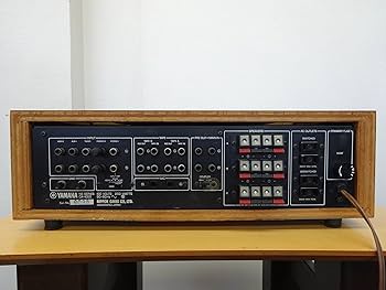 91POvoCO2DL._AC_UF350,