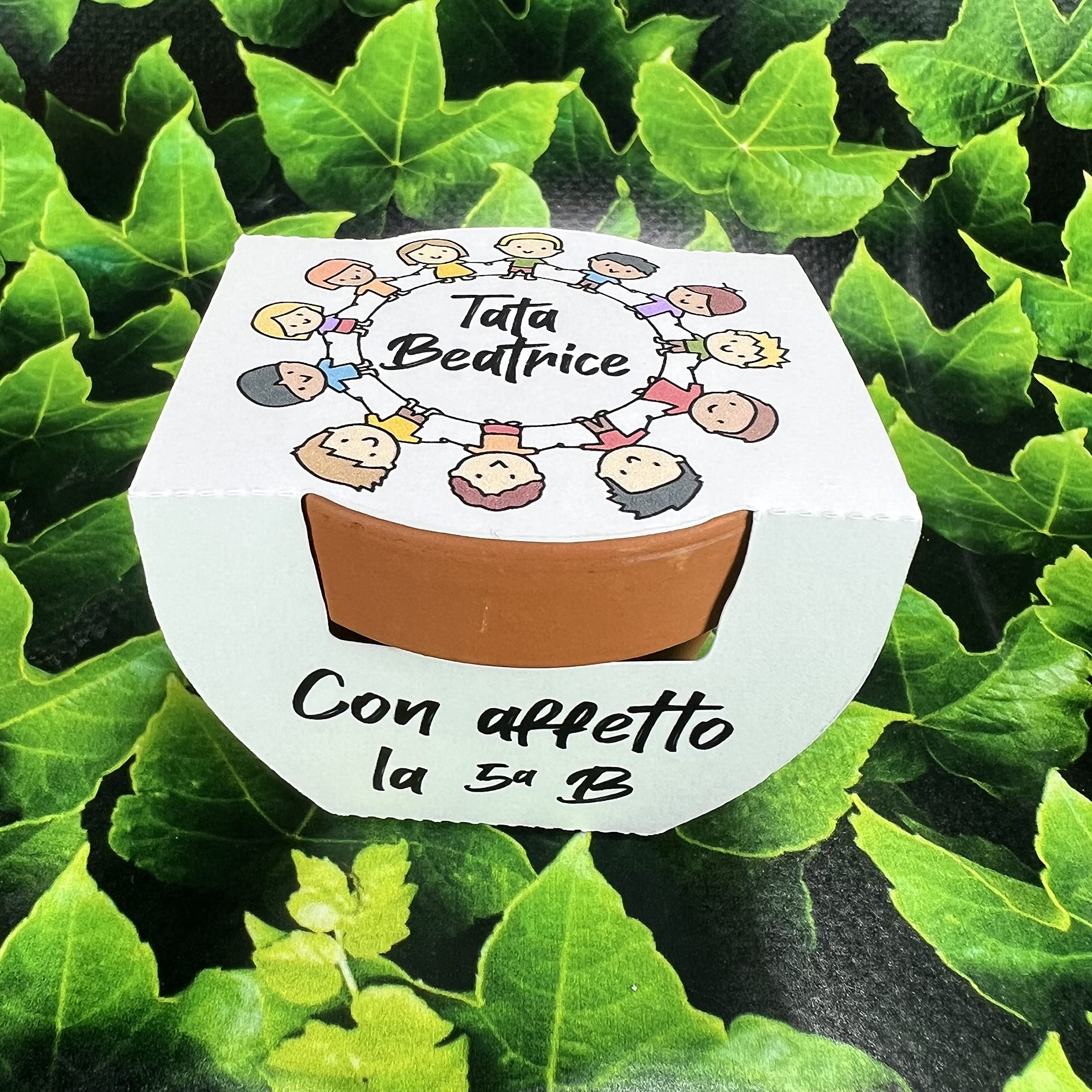 Vaso in Terracotta con Semi Personalizzato – Regalo Maestra Fine Anno Scolastico o Ritorno a Scuola – Idee Ecologiche con Sementi Floreali e Aromatiche