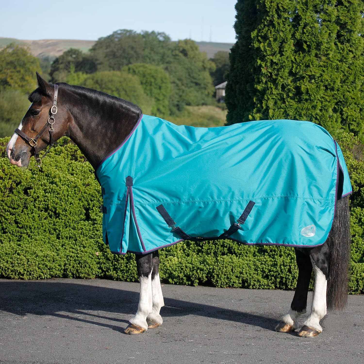 Masta Vento 0g Turnout Rugs for Horses No Fill Lightweight Water