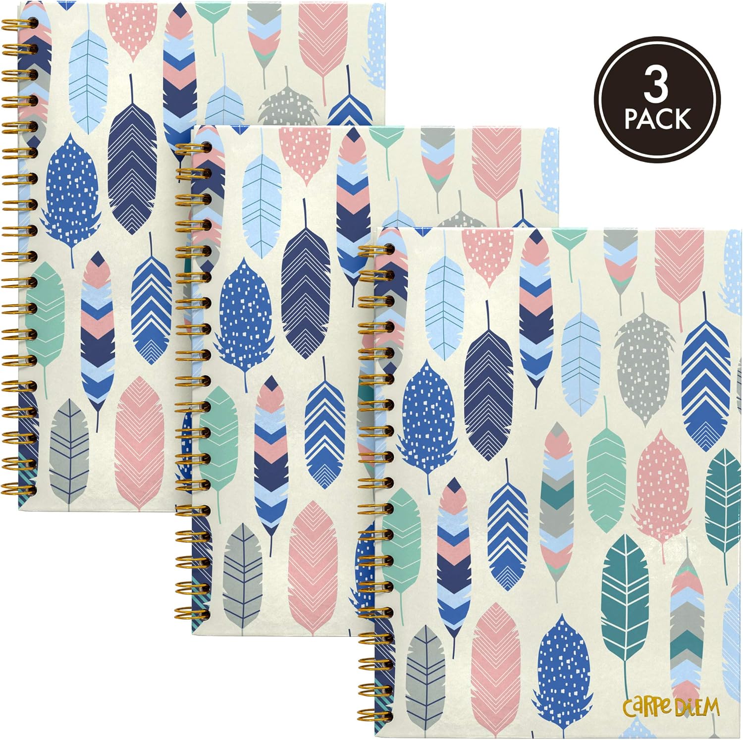 Pukka Pad Carpe Diem B5 Notebooks – Pack of 3 Double Spiral Bound Hard Cover Journals with 160 Pages, 80 Sheets of Lined Paper for Everyday School, Office, and Personal Notes, Feathers