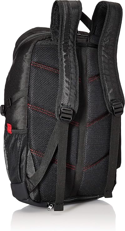 Amazon.com: DELL GM-BP-BK-17-19 Mochila para portátil de 17\