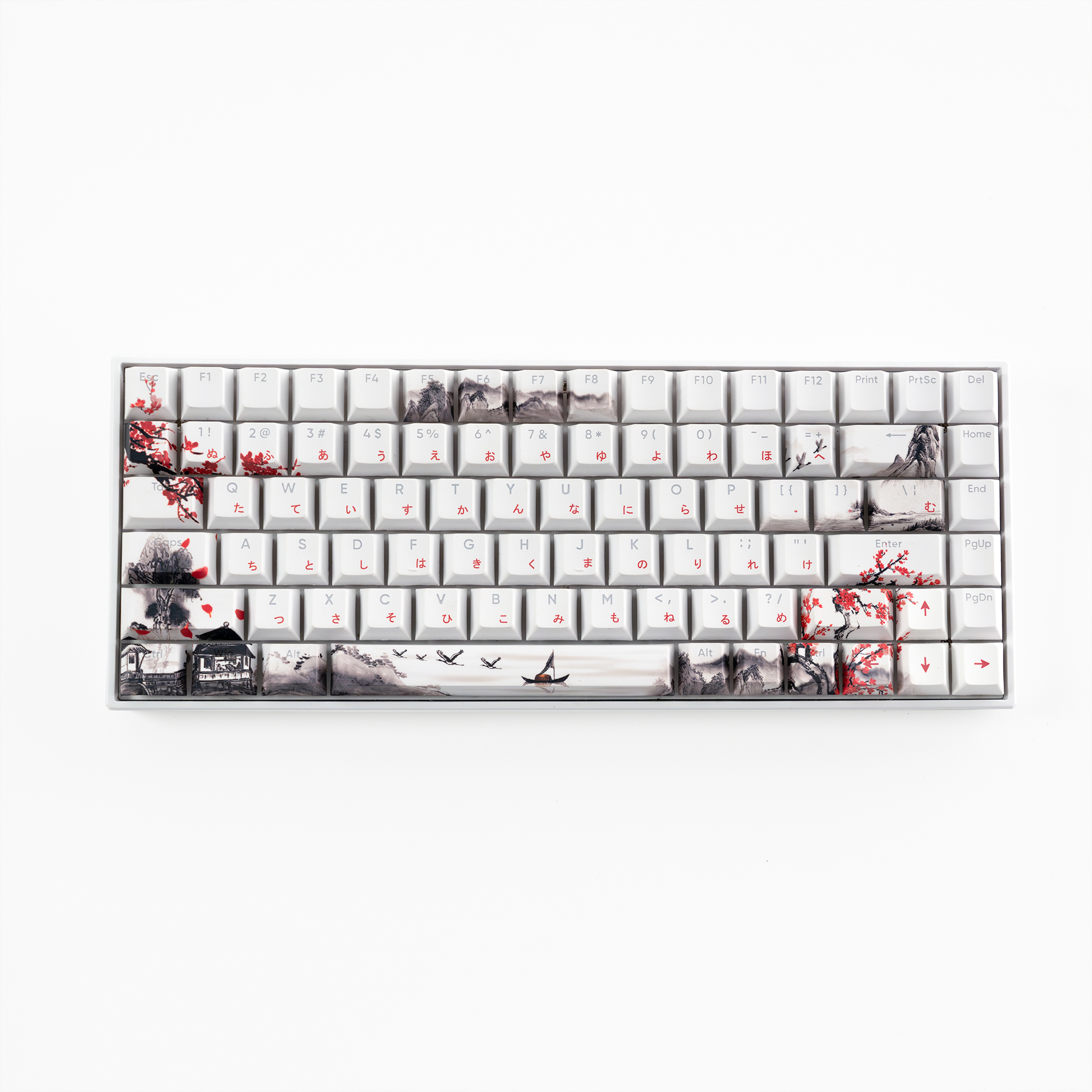 ♡n41♡ 71KEAfxteDL.jpg_BO30,255,255,