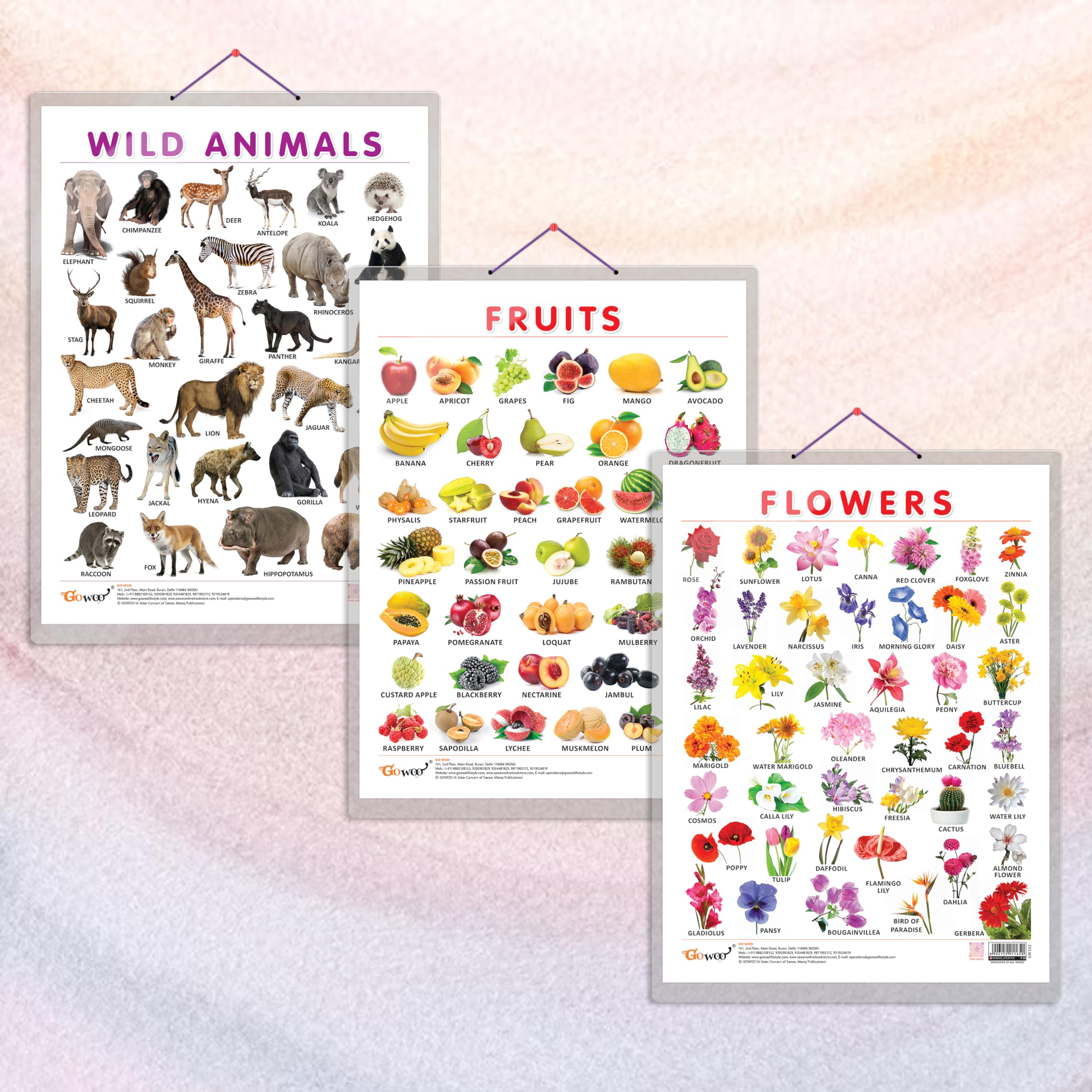 GO WOOFRUITS CHART HARD LAMINATED, FLOWERS CHART HARD LAMINATED, and WILD ANIMALS CHART HARD LAMINATED | combo of 3 charts | Laminated Learning in Nature's Realm