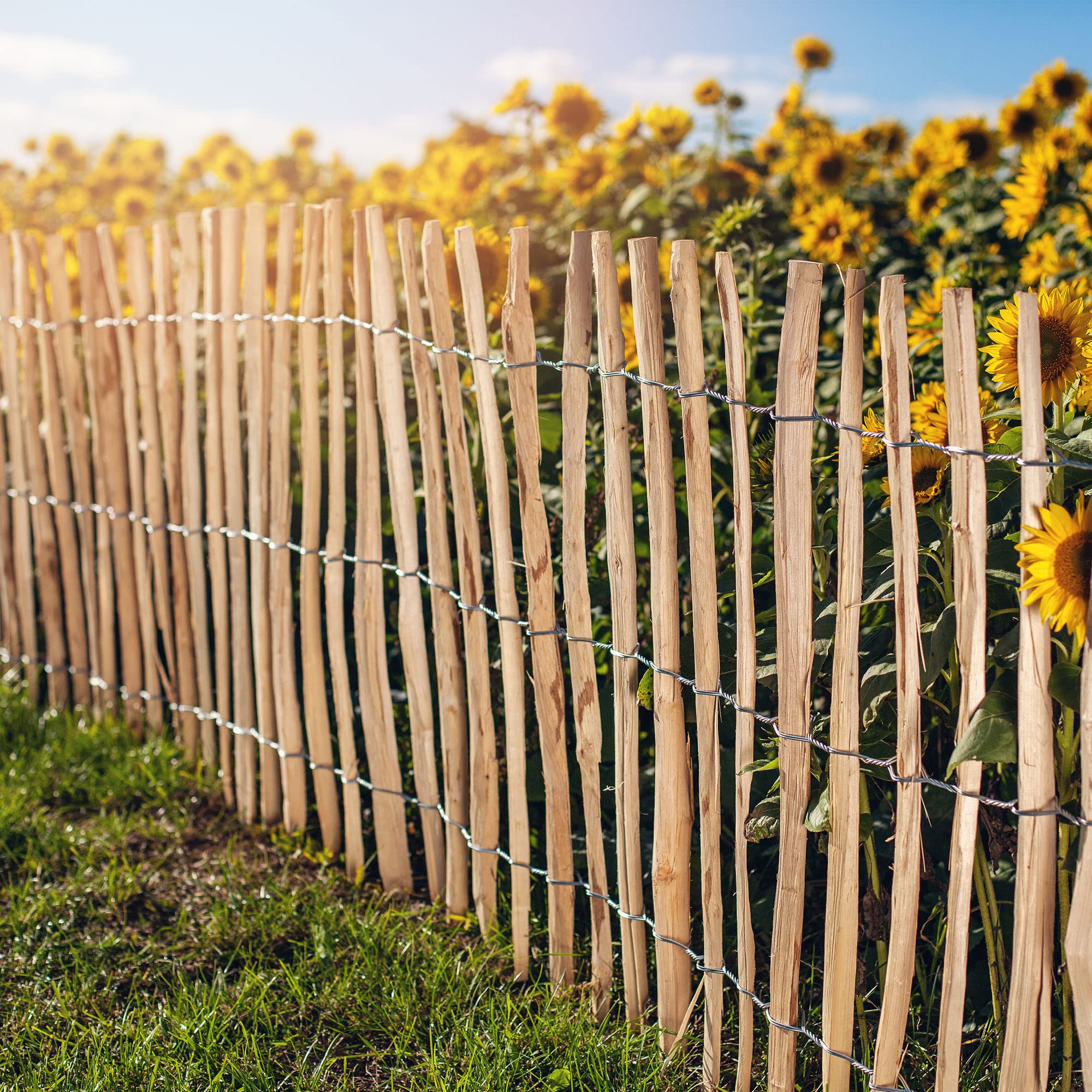 Recinzione In Nocciola - 120x500cm, Stecche 4-6cm, Per Giardino E Aiuole, KADAX - Foto 8