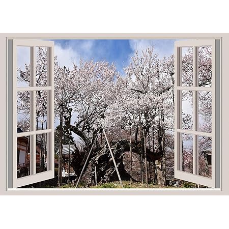 Amazon Co Jp Nd タペストリー 桜 名所 インテリア 壁面 おしゃれ 風景 景色 絶景 大阪城 夜 花びら 大判 大きい 癒し 部屋 飾り付け 季節 プレゼント 背景布 壁 インスタ映え グッズ 小物 布 テレワーク 背景 Zoom 映え 雑貨 Amazon Co Jp Nd タペストリー 桜 名所 インテリア 壁面 おしゃれ 風景 景色 絶景 大阪城 夜 花びら 大判 大きい 癒し 部屋 飾り付け 季節 プレゼント 背景布 壁 インスタ映え グッズ 小物 布 テレワーク 背景 Zoom 映え 雑貨