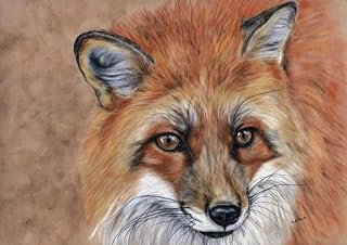 Large Fox print picture from original British wildlife painting by Tracey Earl wall art size A3 unframed