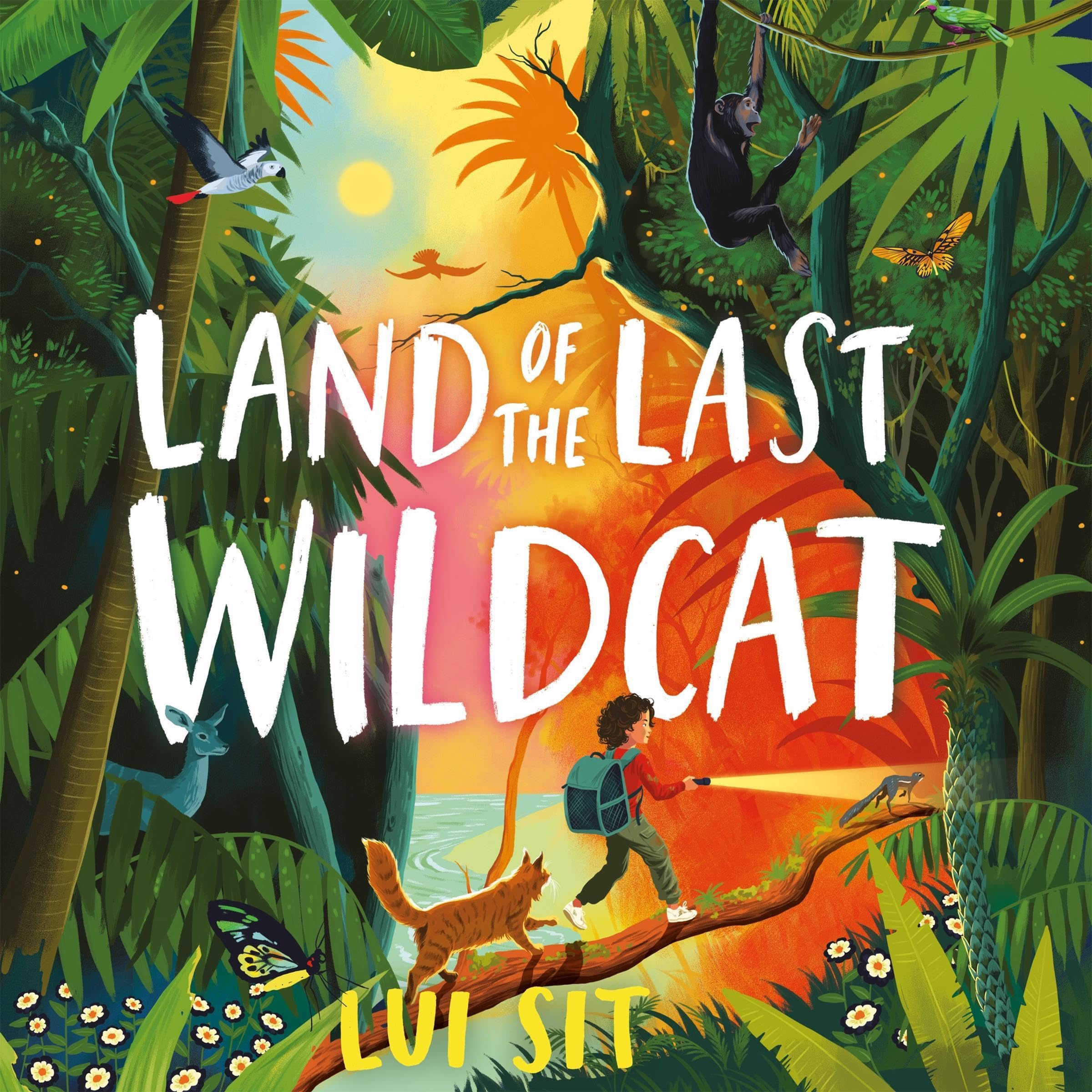 Cover art for Land of the Last Wildcat