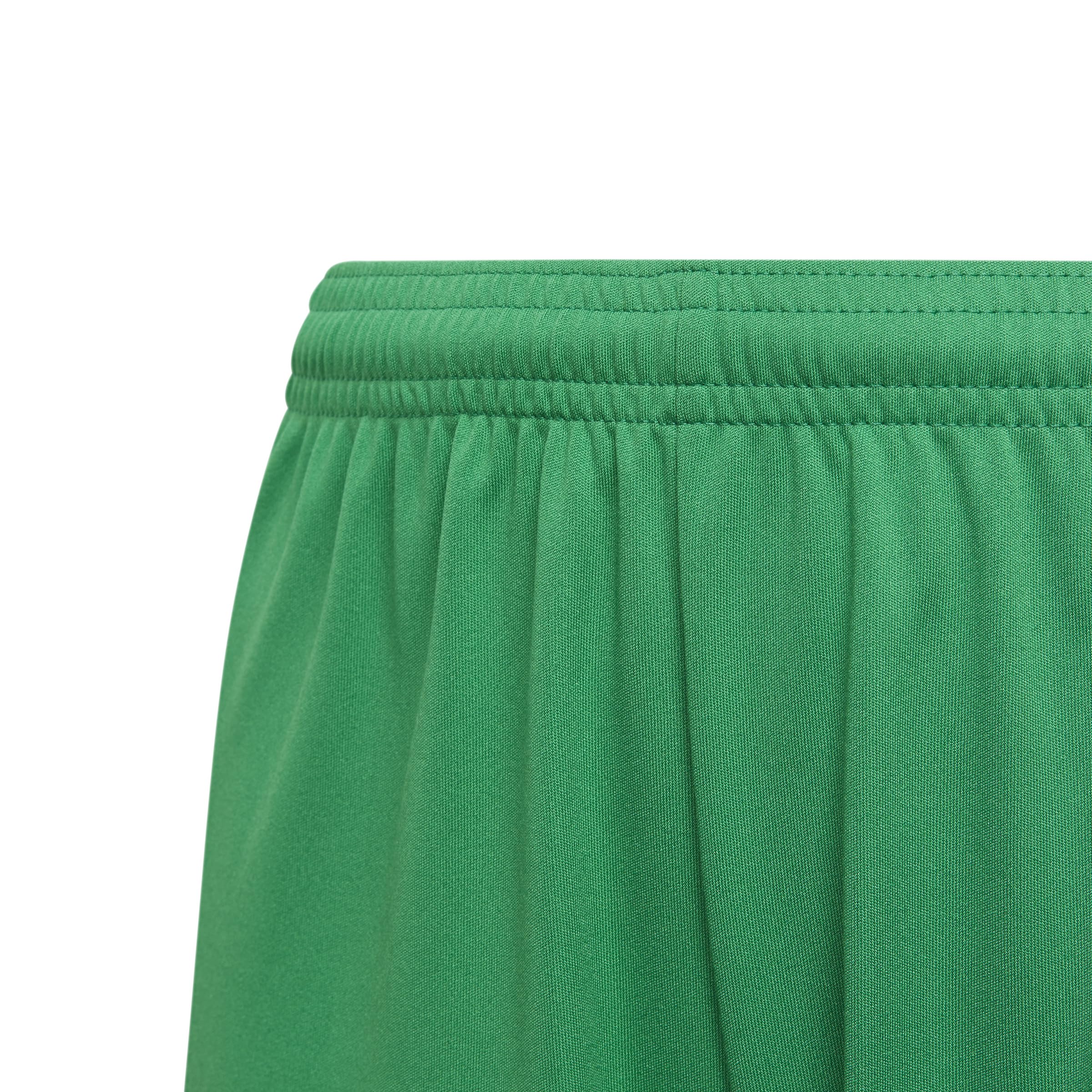 adidas Boys' Squadra 21 Shorts, Team Green/White, X-Large
