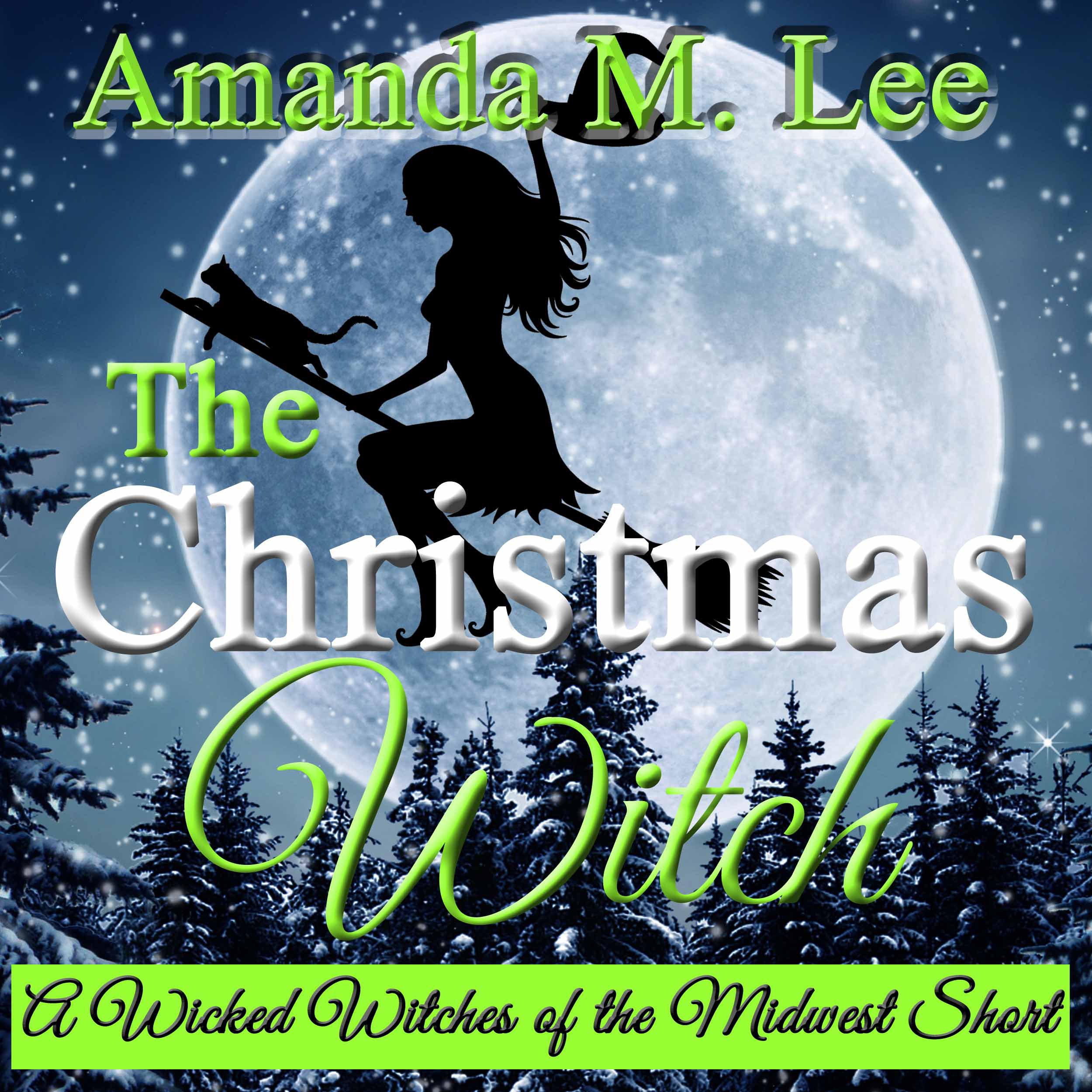 Cover art for The Christmas Witch
