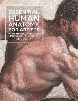 Essential Human Anatomy for Artists A Complete Visual Guide to Drawing the Structures of the Living Form