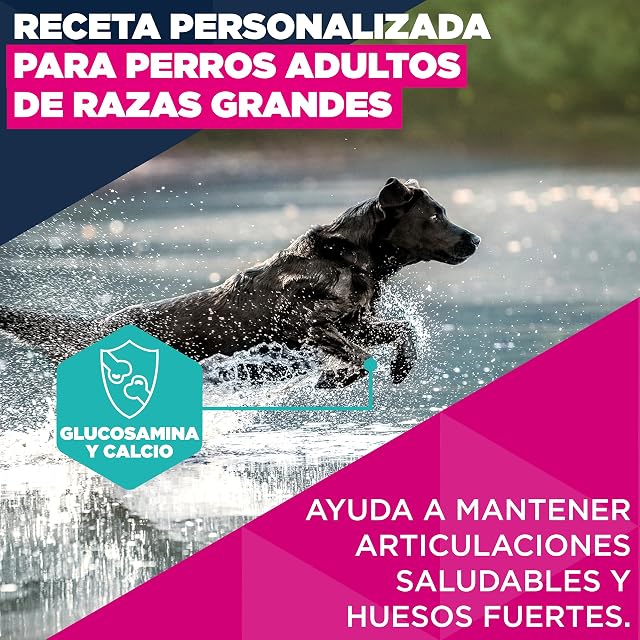 Foto 3 de 8 de Eukanuba, alimento seco para Perros con Pollo Fresco para Razas Grandes