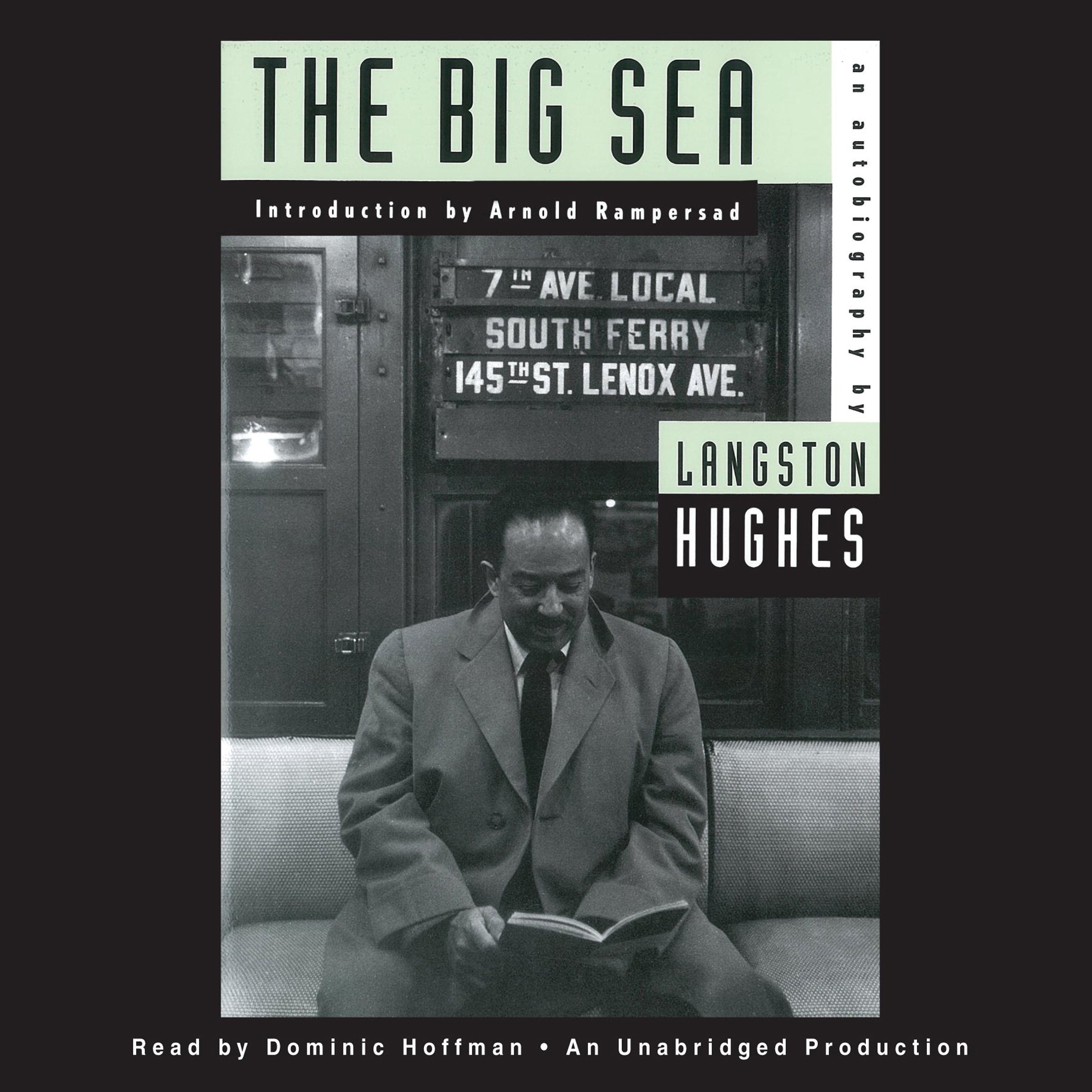 Cover art for The Big Sea