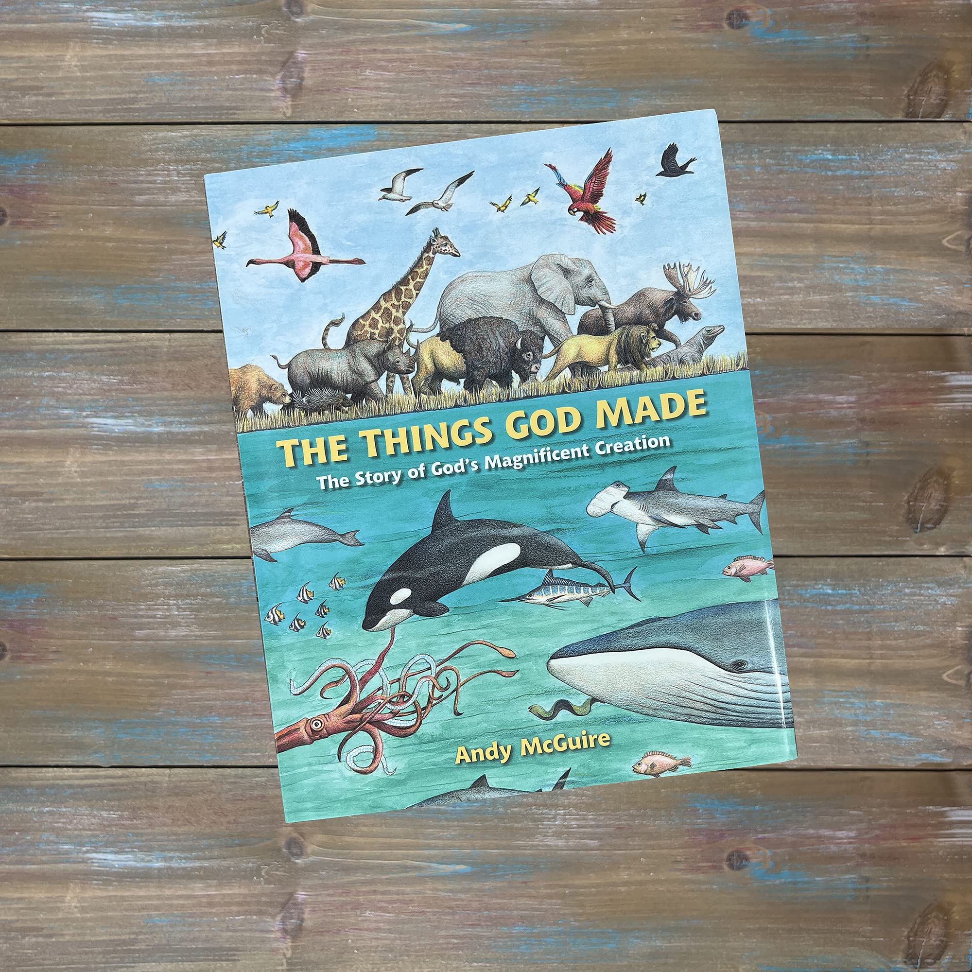 The Things God Made: Explore God's Creation through the Bible, Science, and Art - Image 7