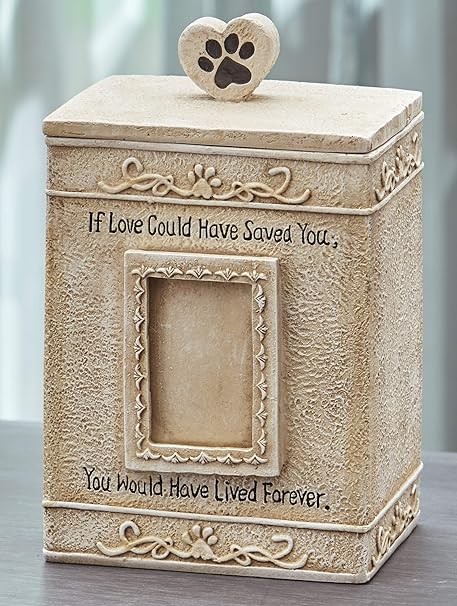 buffalo range jerky twists