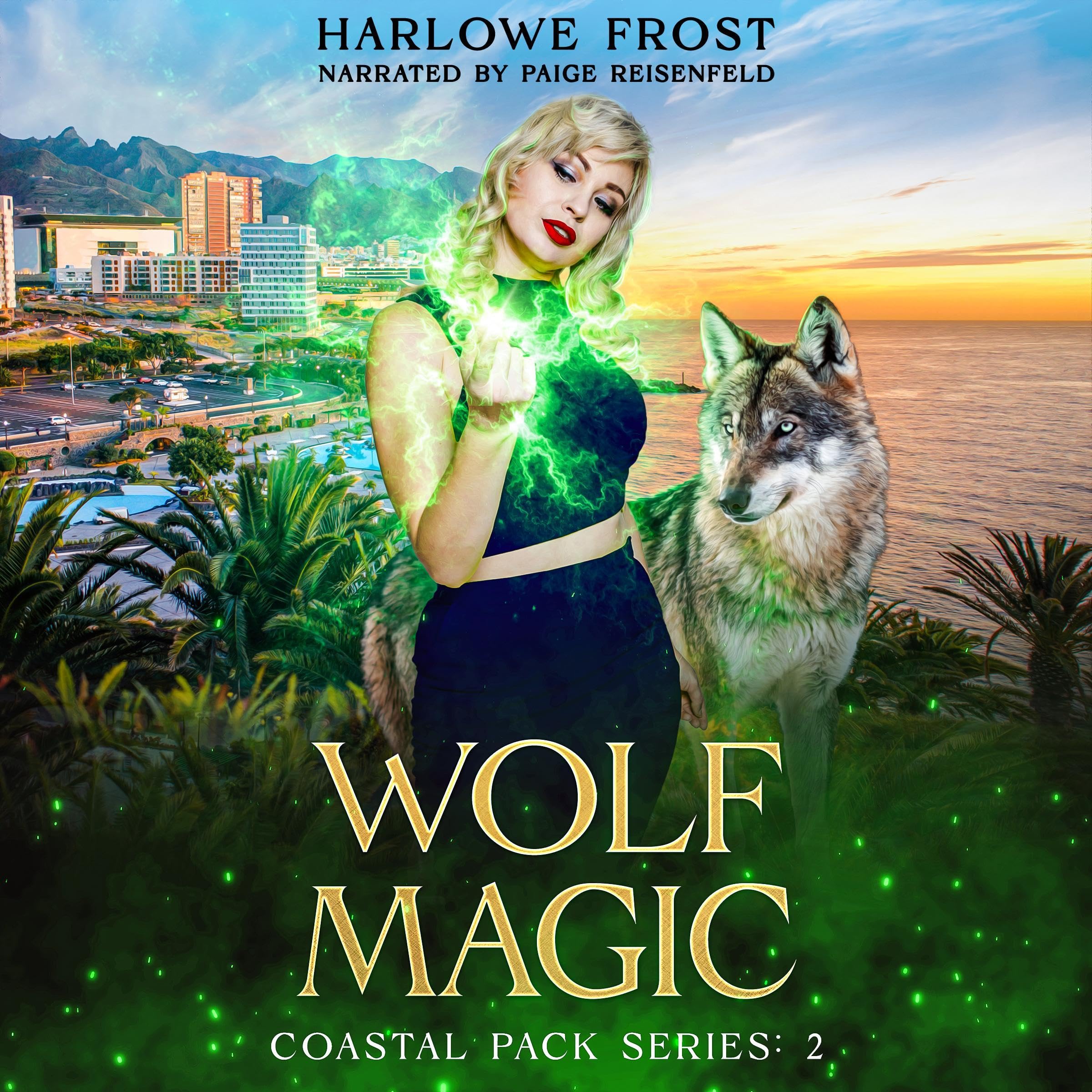 Cover art for Wolf Magic