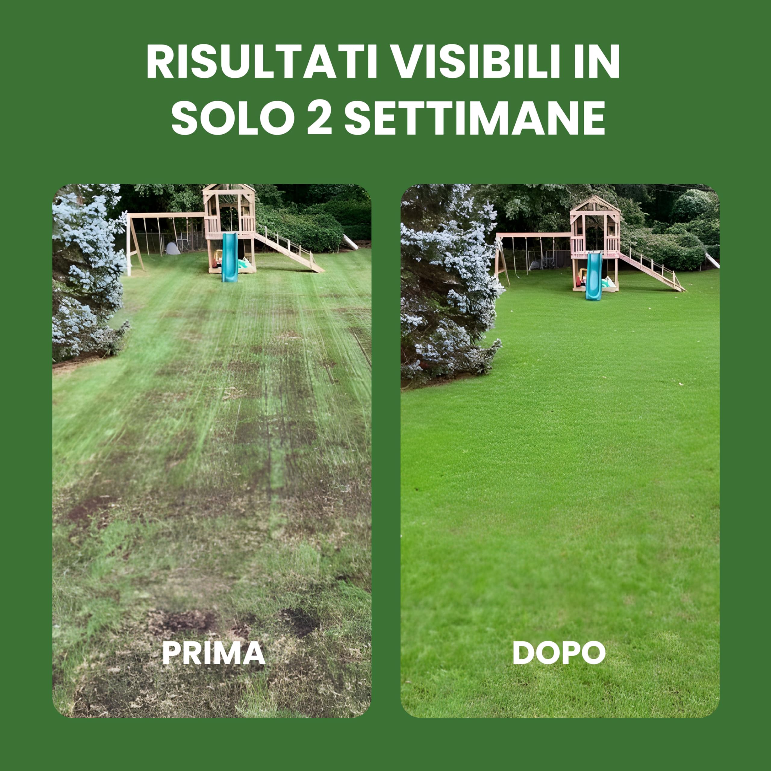 Semi Prato Crescita Rapida LERAVA - 30 M&sup2;, Resistente Al Calpestio, Per Sole E Mezz'ombra