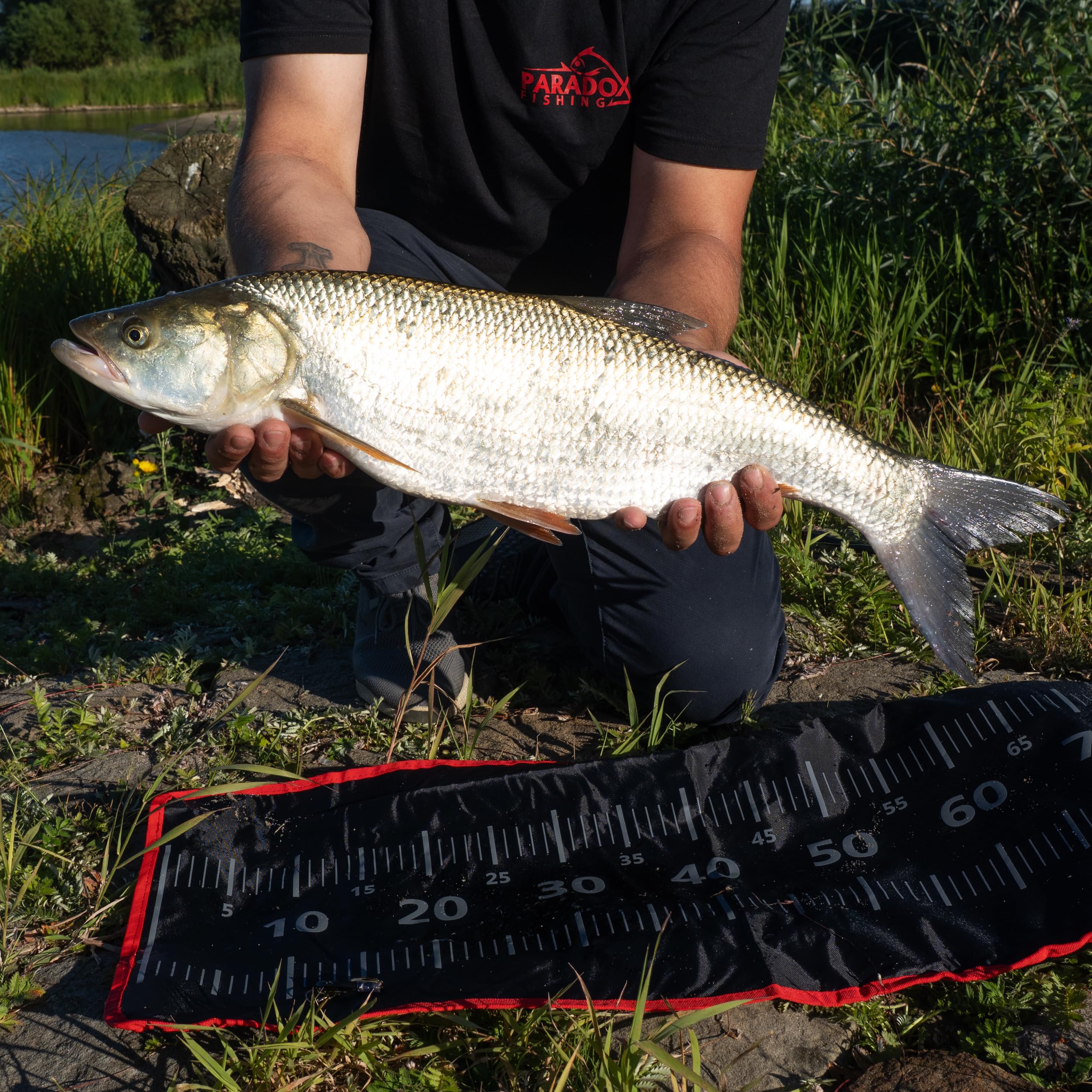 Paradox Fishing Mata wędkarska, 140 x 35 cm, taśma miernicza, mata do ściągania