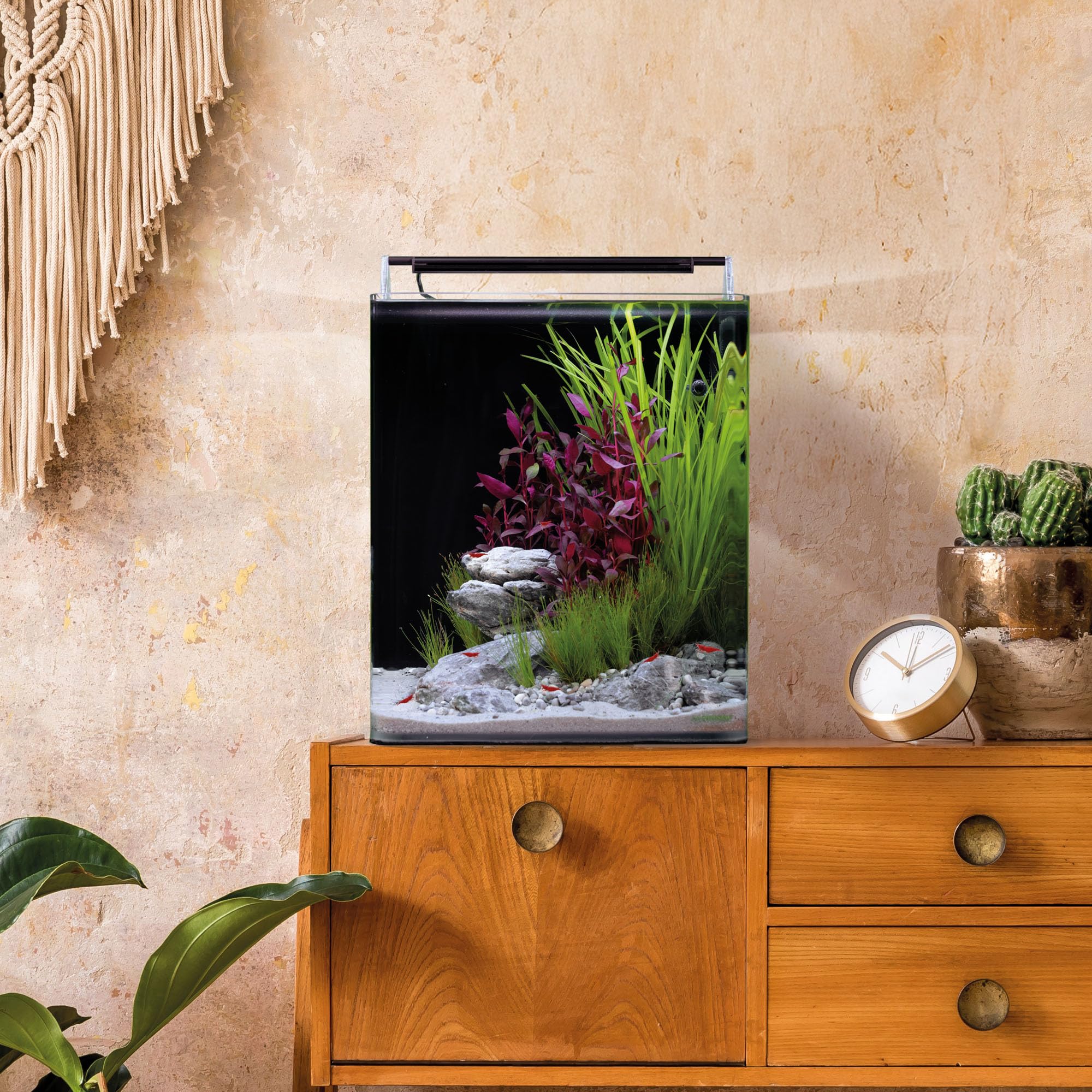 Dennerle Nano Cube Basic, 30 Liter - 30 x 30 x 35 cm - Mini-Aquarium Set mit abgerundeten Ecken