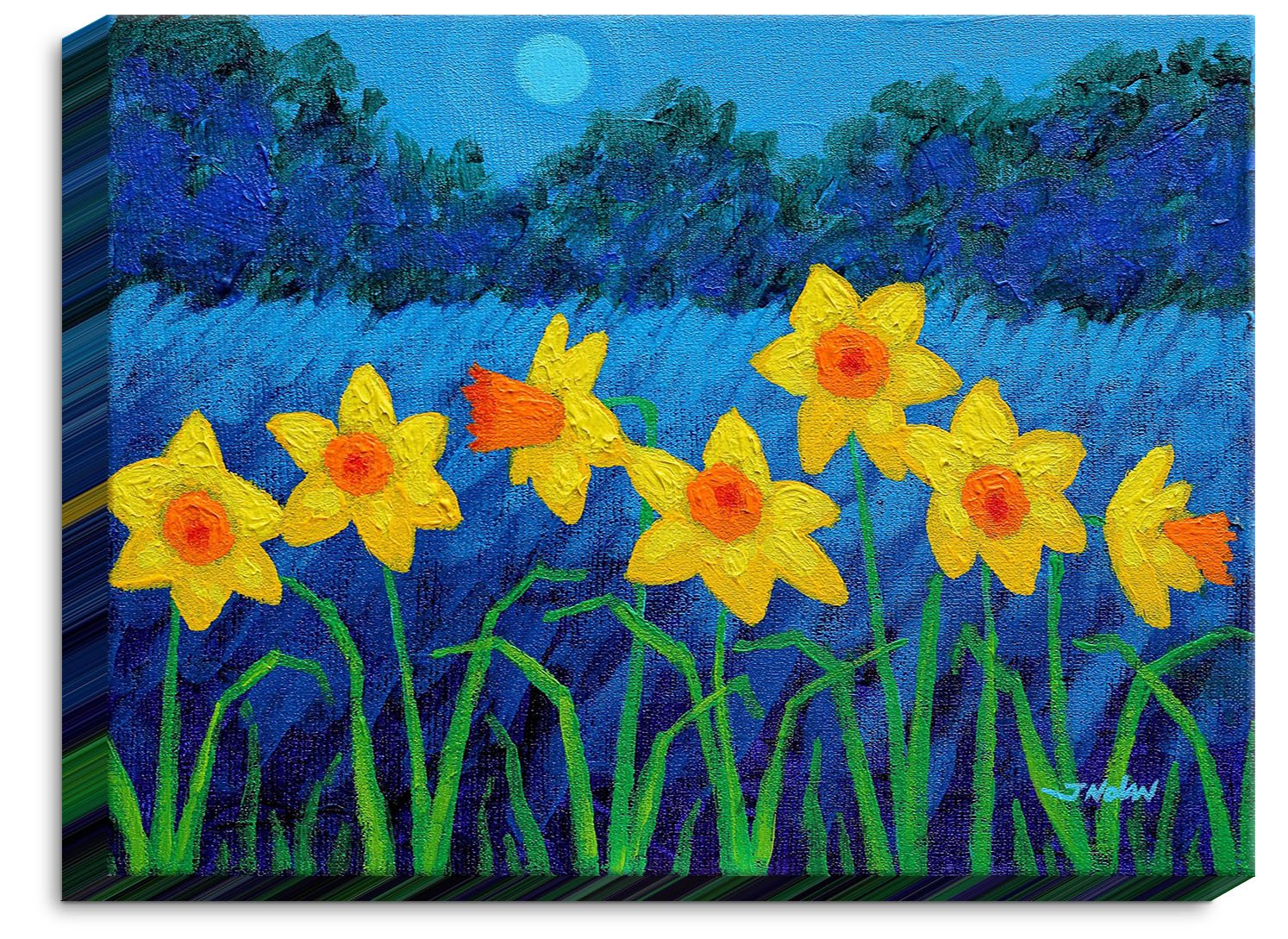 Dia NocheCANW-JohnNolanMoonlitDaffodils5 Canvas Wall Art Framed and Unframed, 31 x 21