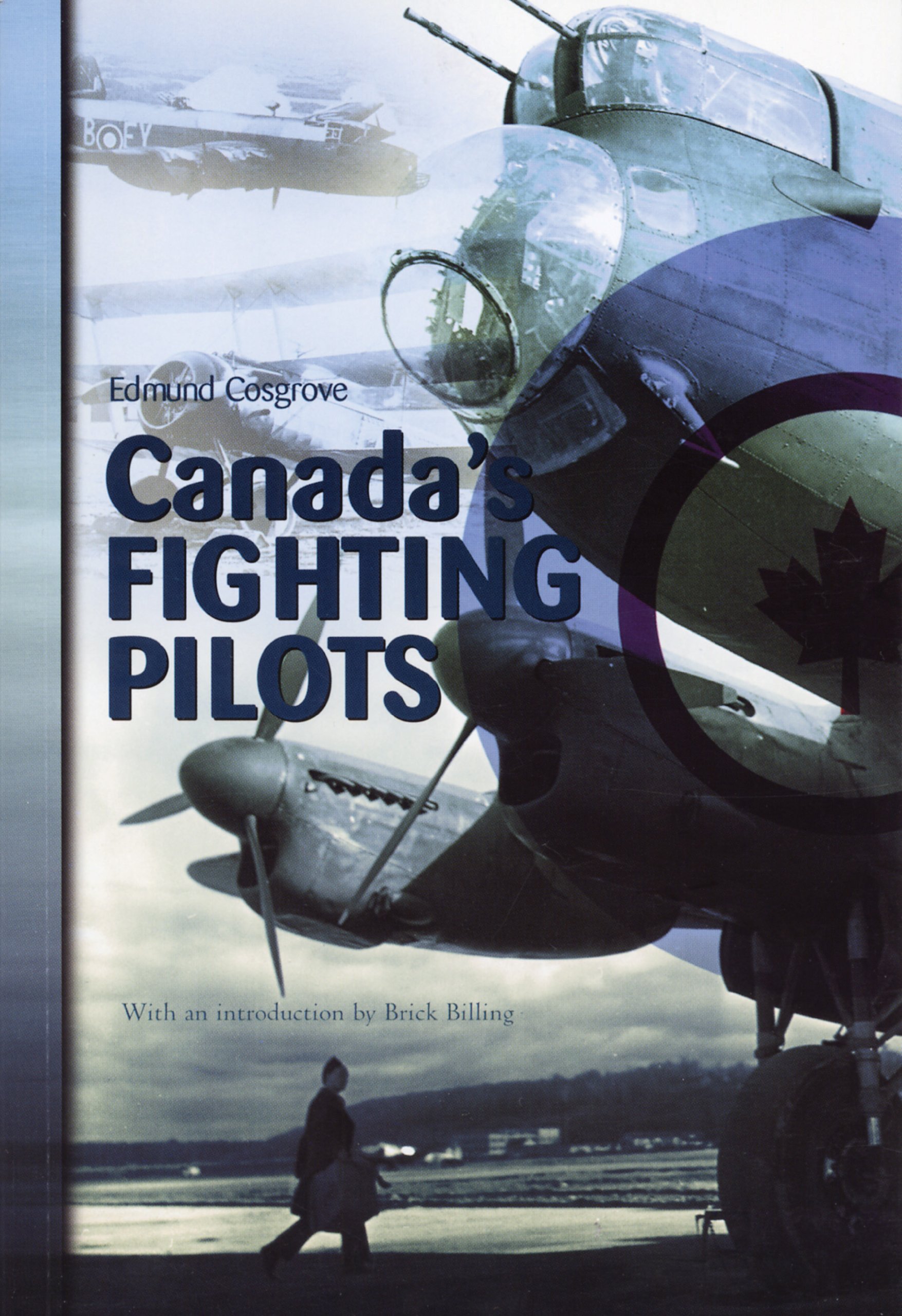 Buy Canada's Fighting Pilots: Action and Diplomacy in Indochina — BookShops.in