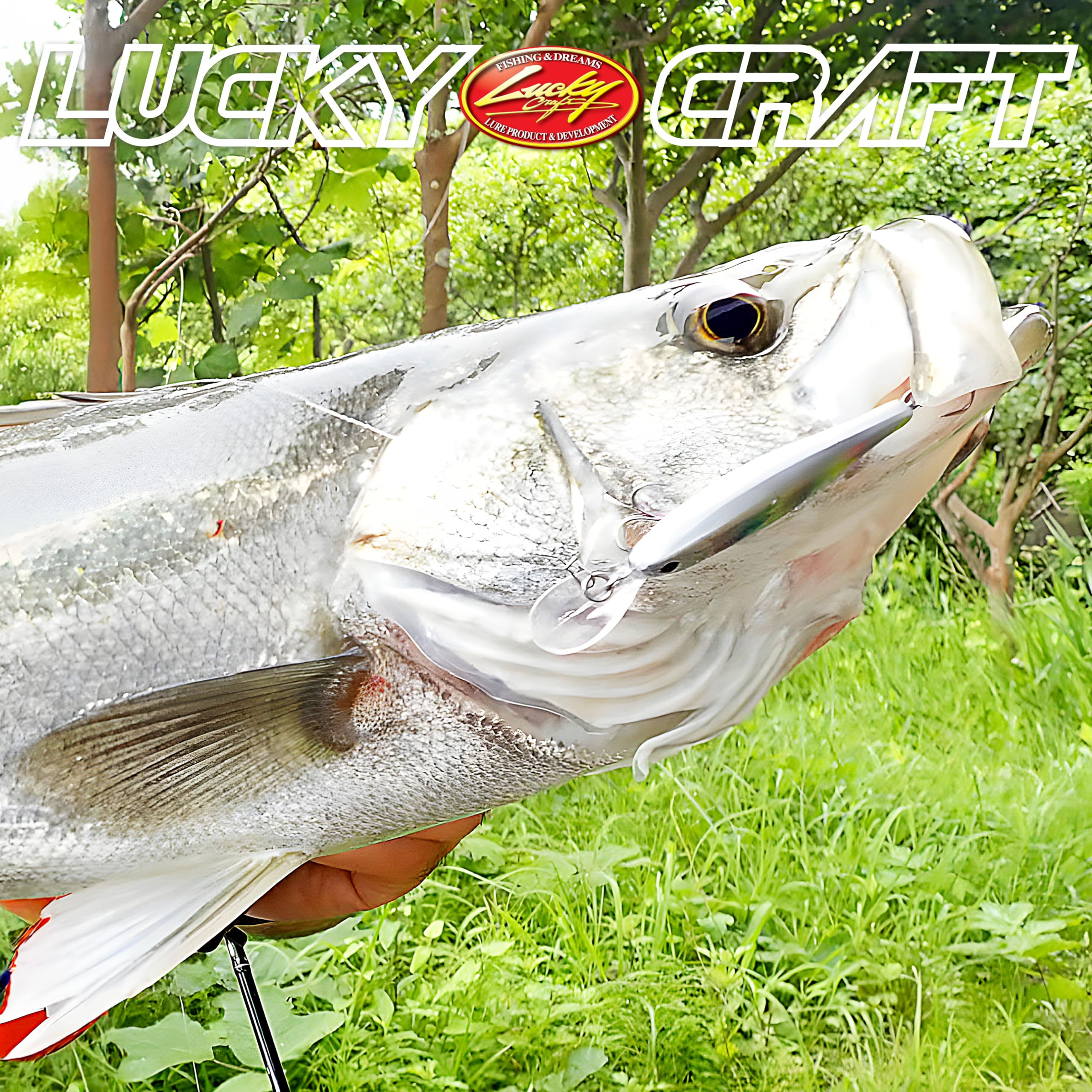 Amazon | ラッキークラフト (LUCKY CRAFT) ビーフリーズ 78LB WT-S