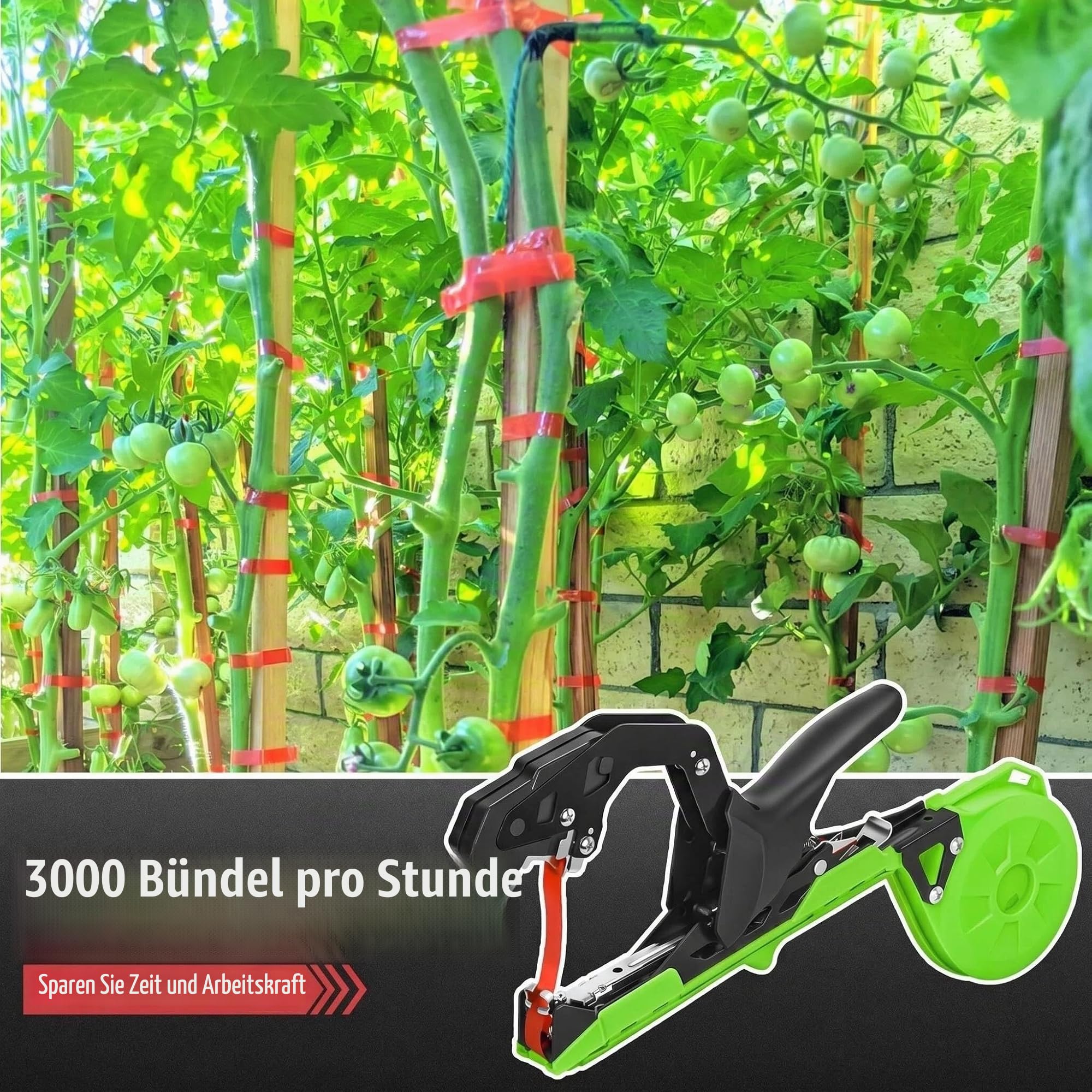 Professionelle Pflanzen Bindezange für Weinberg Tomaten Gurken, Pflanzenbindemaschine ideal für Gärtner und Landwirte, Grün/Schwarz