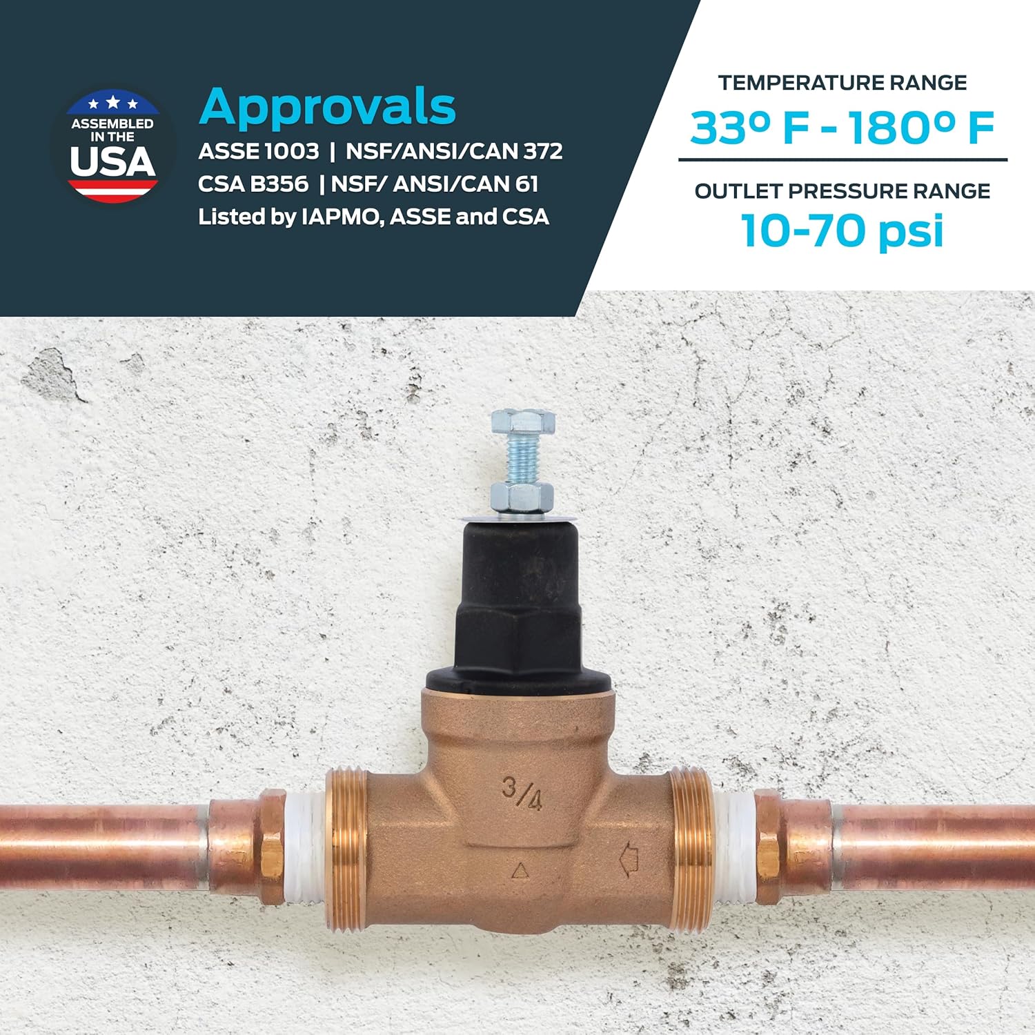 Cash Acme EB45 Pressure Regulating Valve, 3/4 Inch NPT Threaded, Poly Top, 60 PSI, PVA16P-DTH-60
