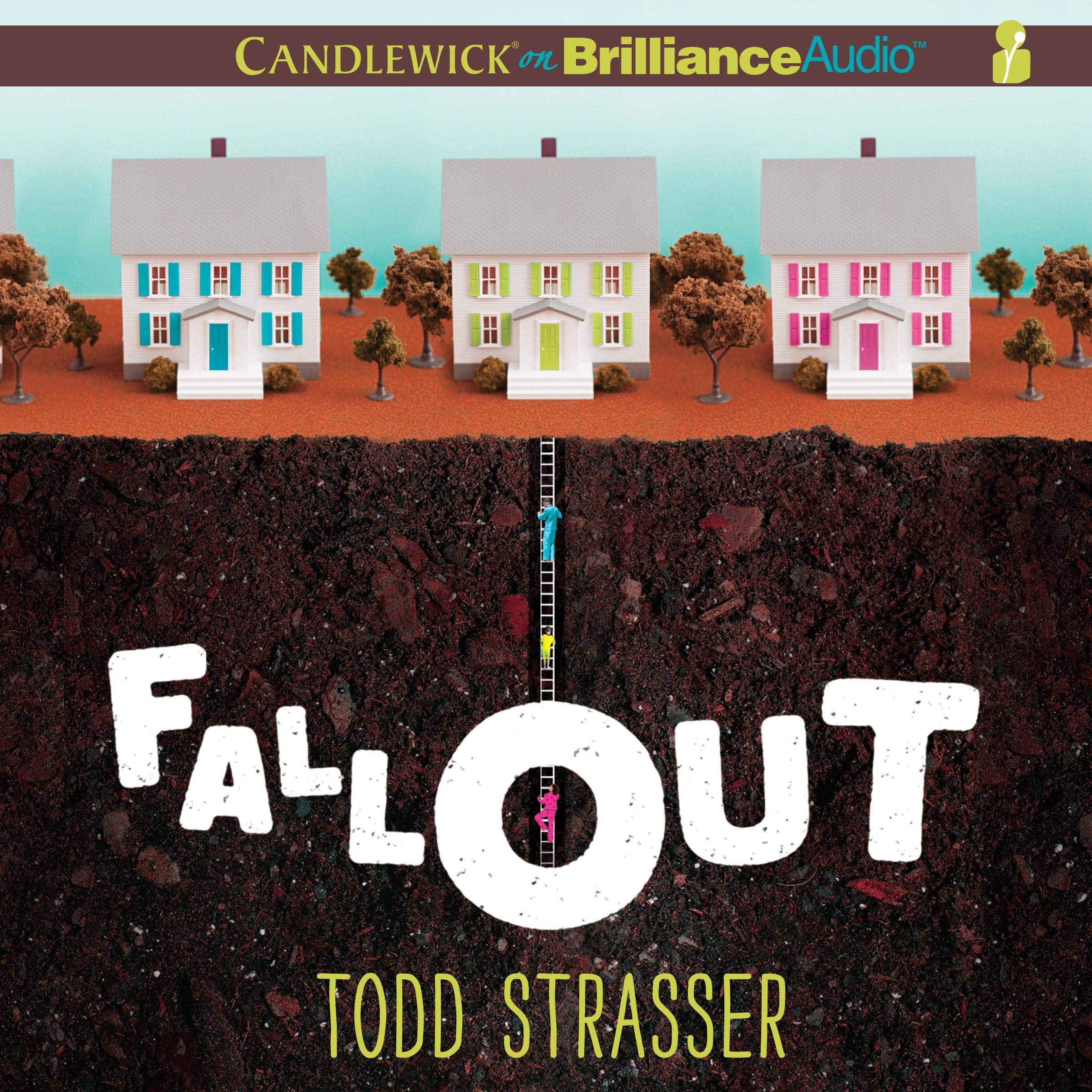 Cover art for Fallout