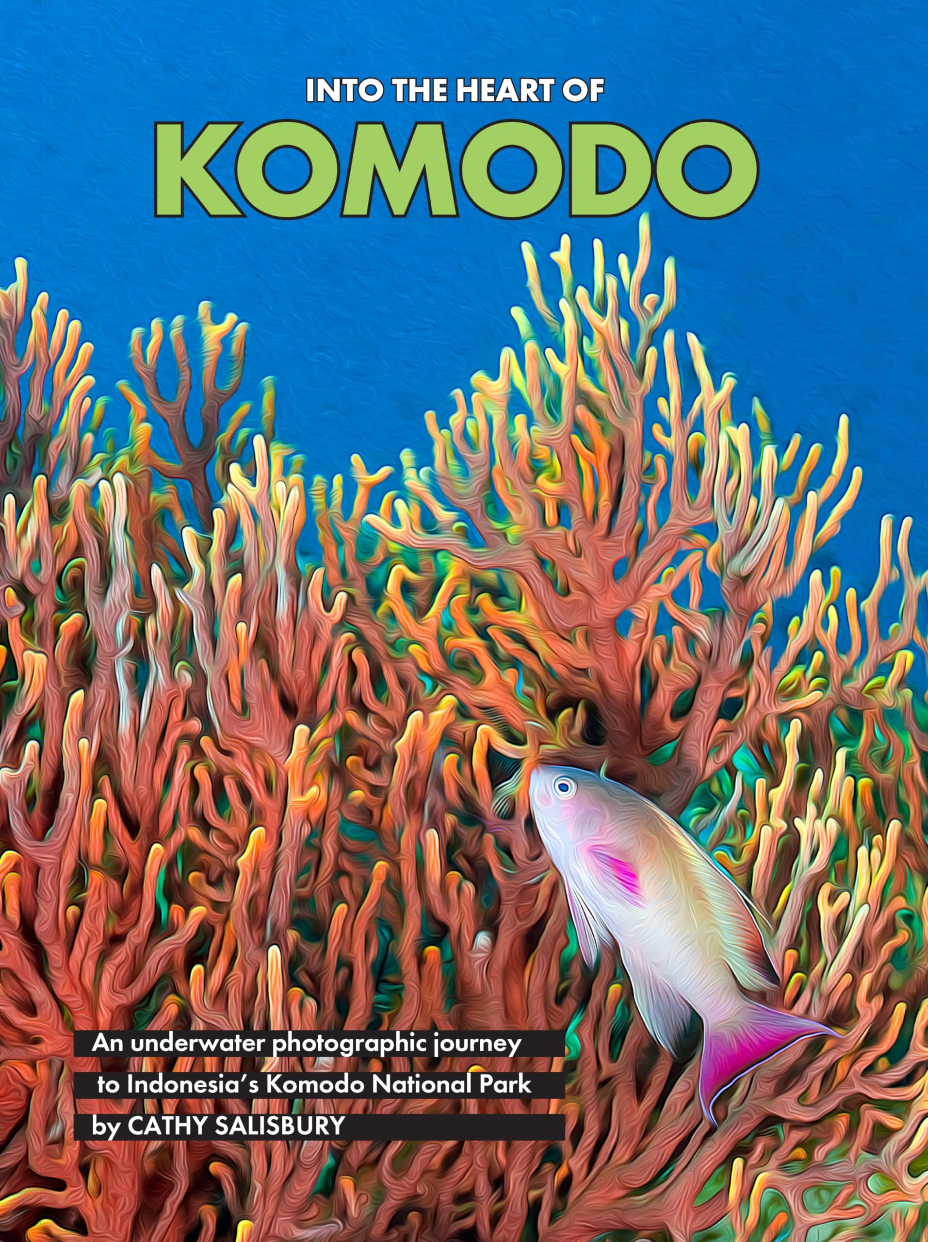 Livre Komodo National Park pour s'évader dans les récifs coralliens d'Indonésie