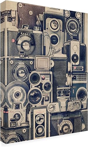 Miniatura 2 de Trademark Fine Art Lienzo de cámaras vintage de Thomas Brown