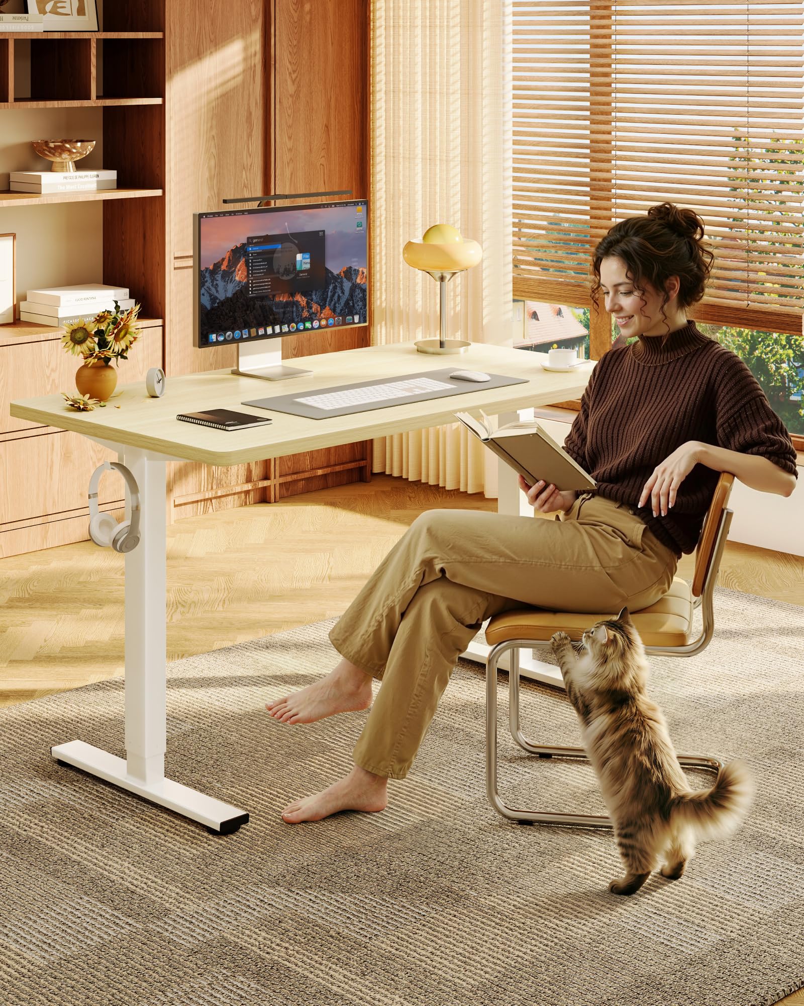 Amazon.com: FLEXISPOT EN1 55
