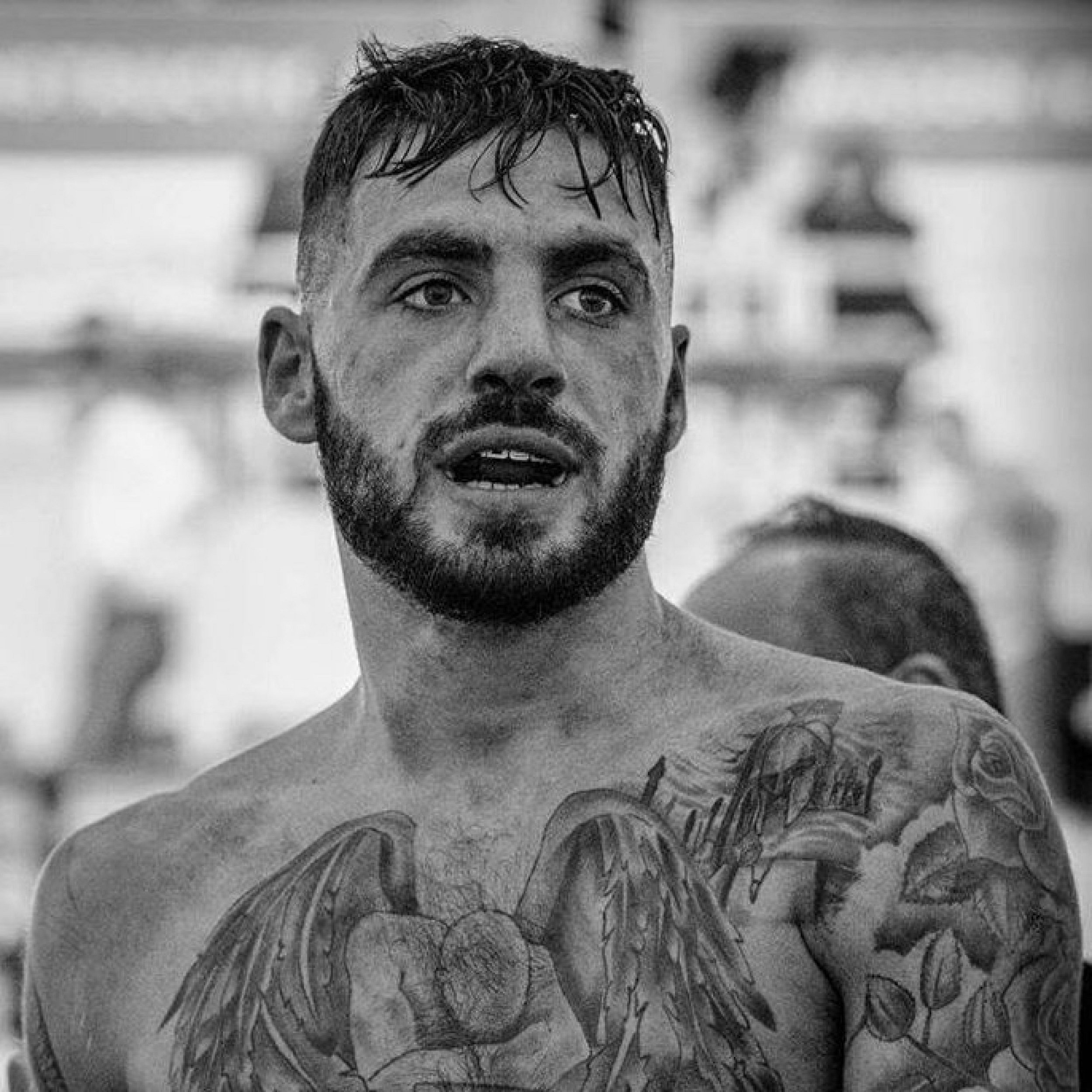 Newcastle United Fans