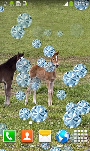 Imagens animadas de Sweet Animals Live