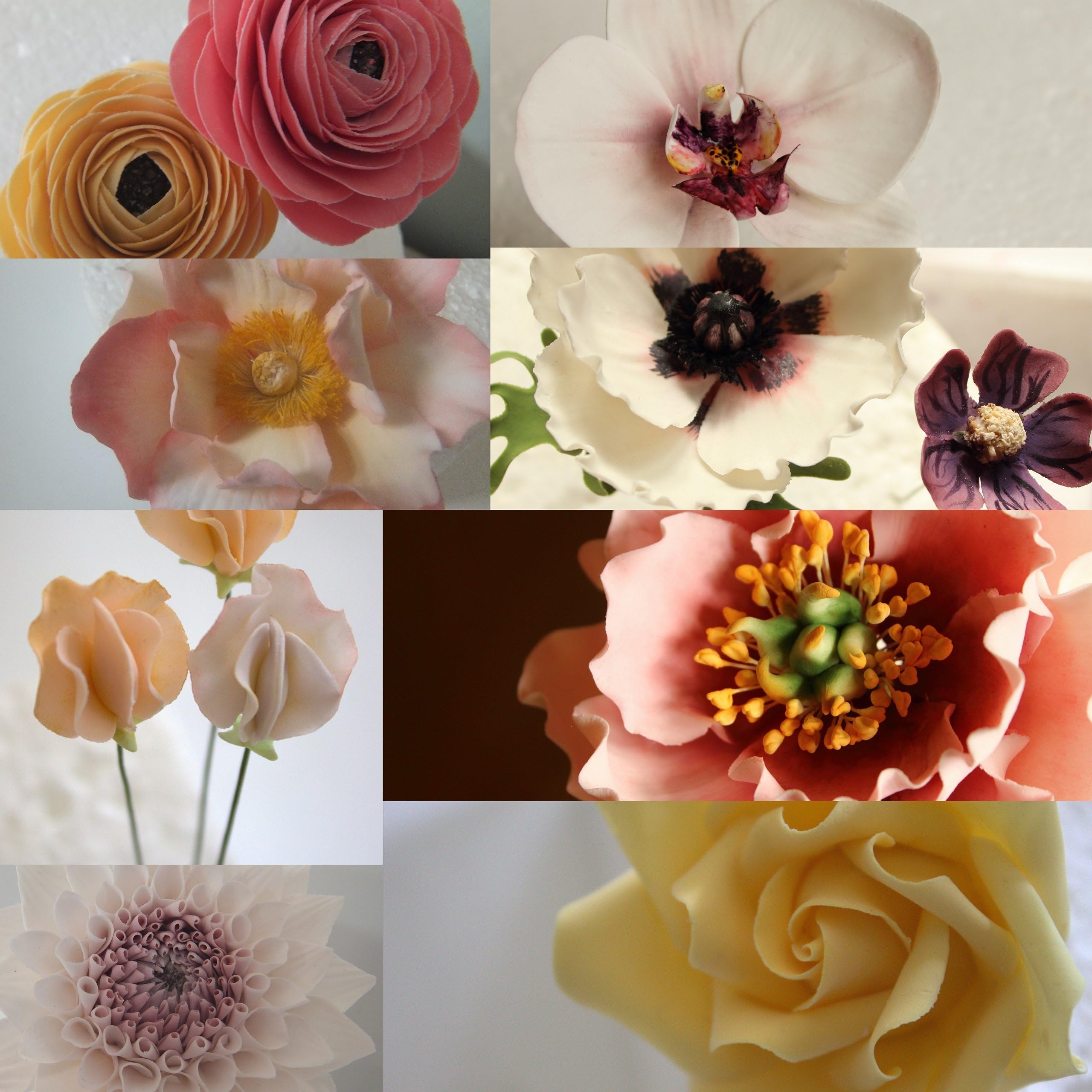 The Art Of Sugar Flowers: Sweet As Sugar Cakes