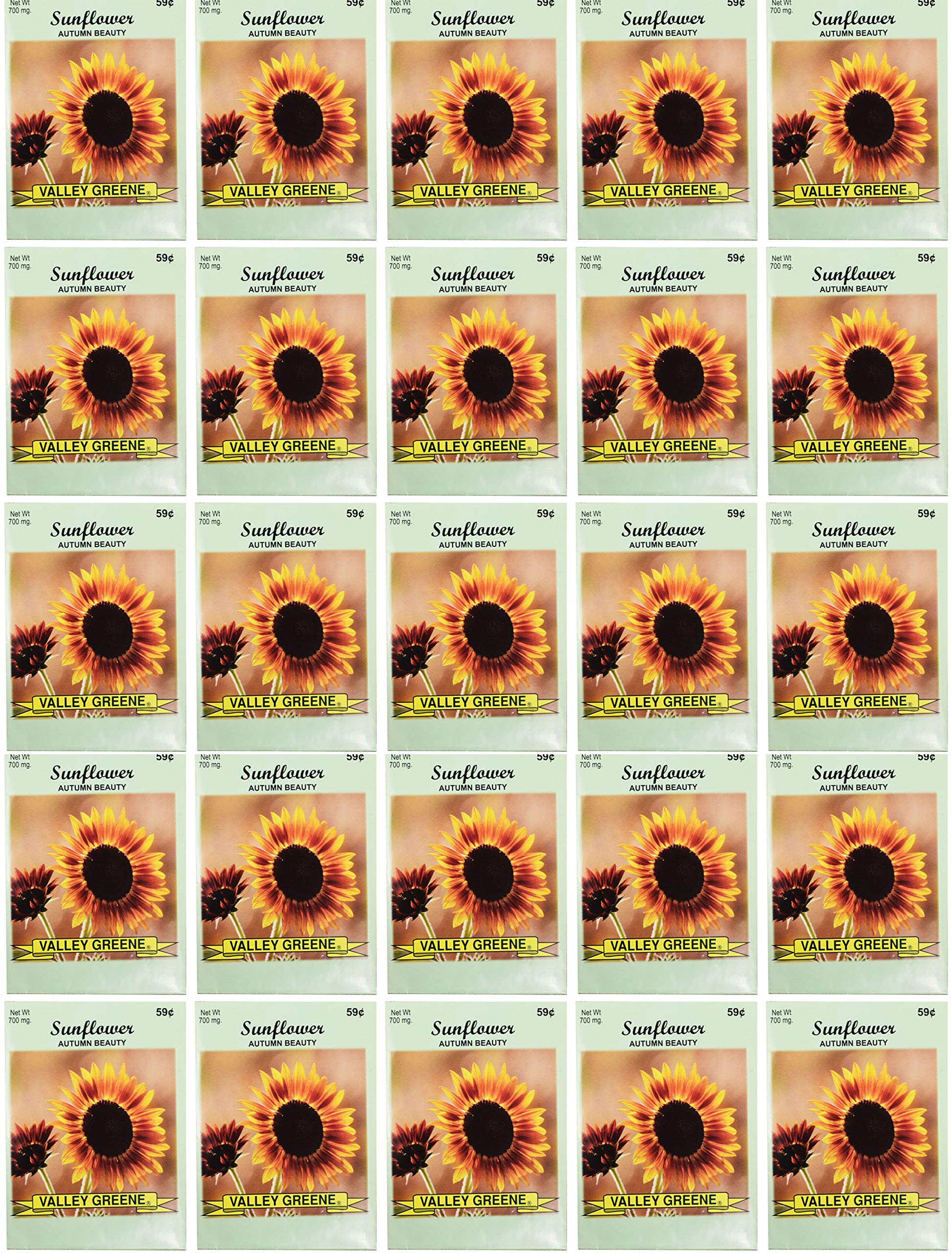 Black Duck Brand Autumn Beauty Sunflower 25-Pack