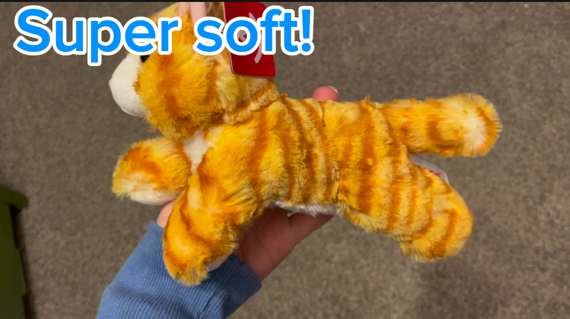 Sweet Stuffed Kitty Review on Amazon Live